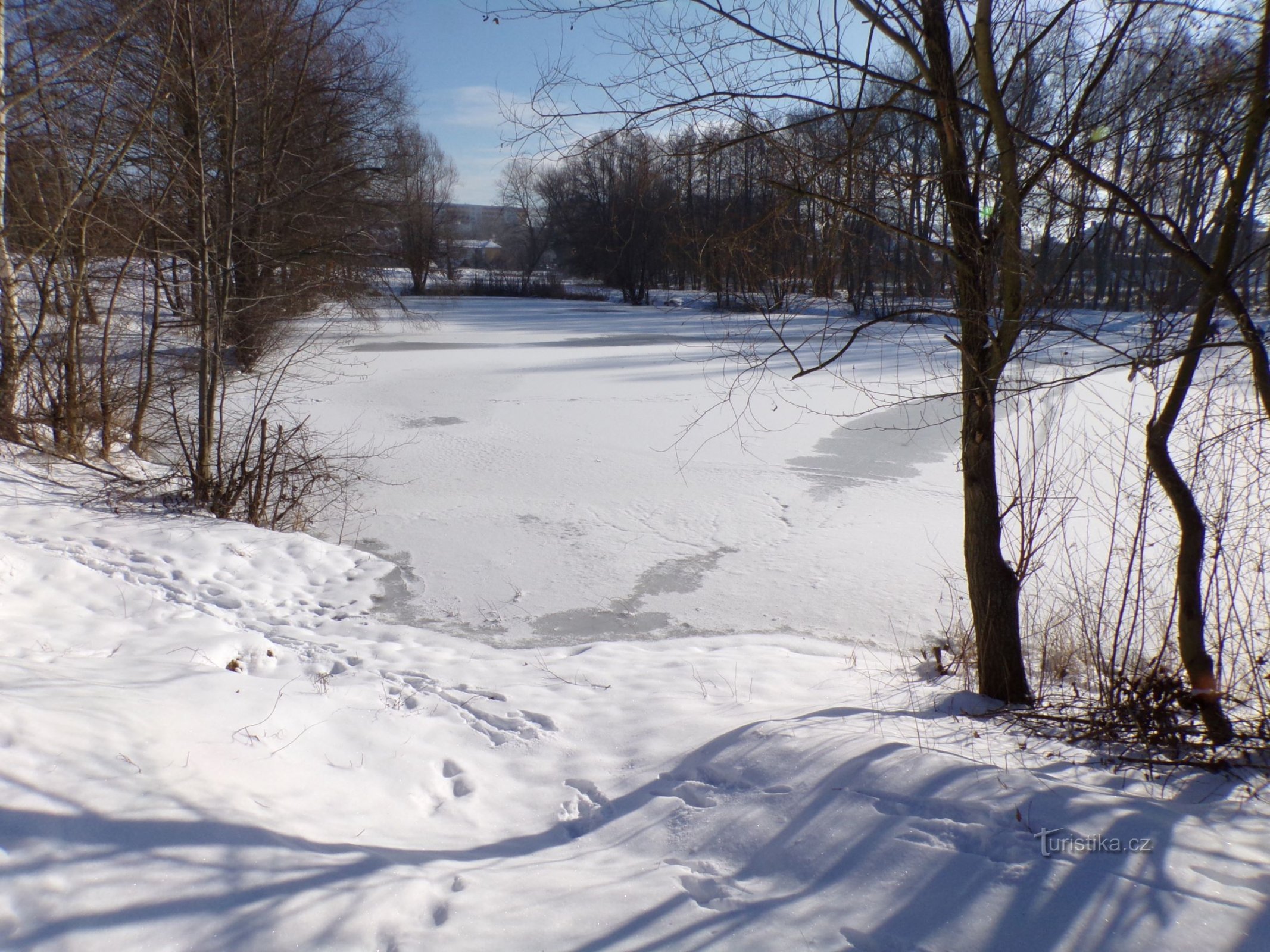 Bagrák Pond (Hradec Králové, 12.2.2021/XNUMX/XNUMX)