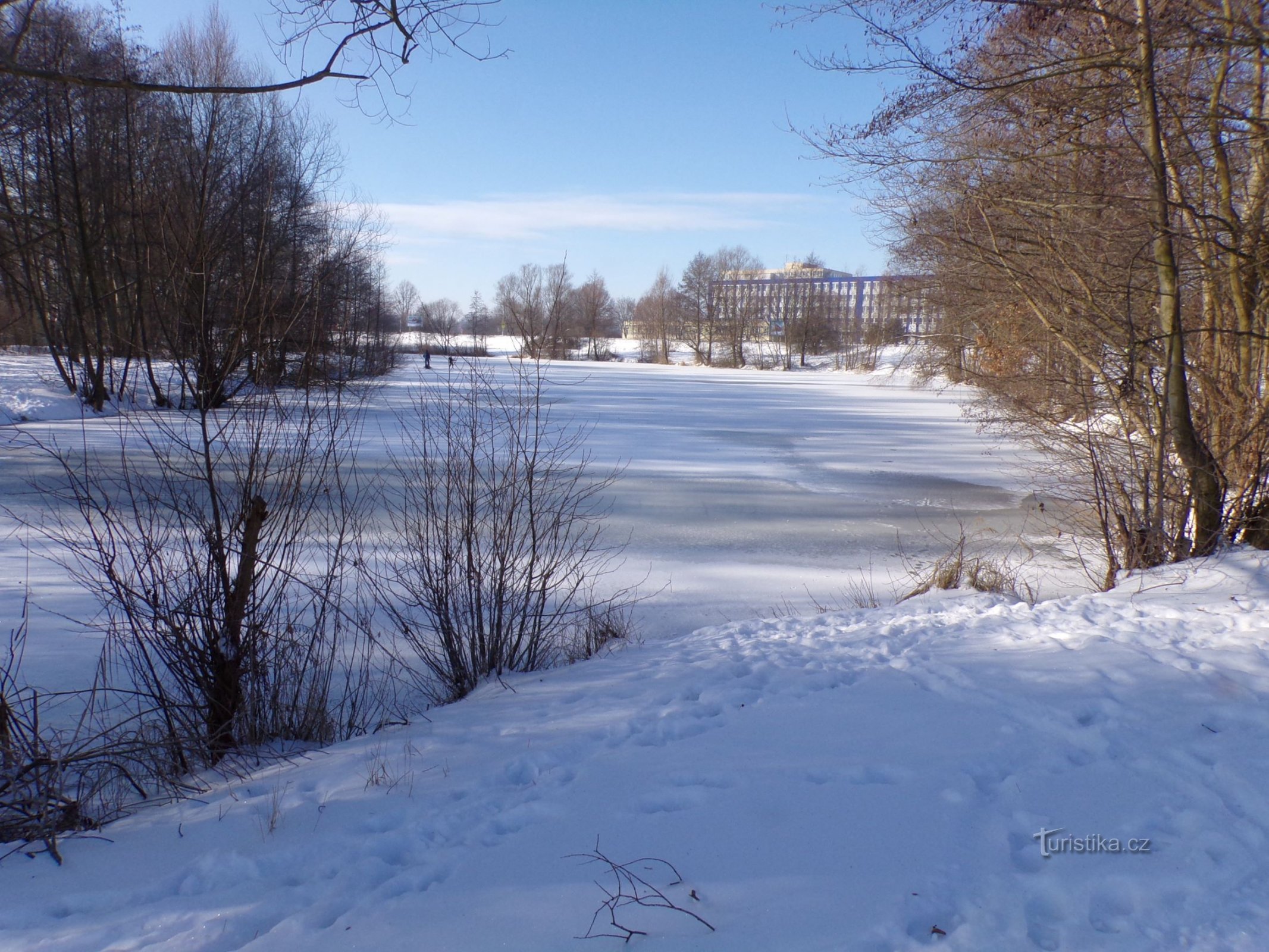 Bagrák Pond (Hradec Králové, 12.2.2021/XNUMX/XNUMX)