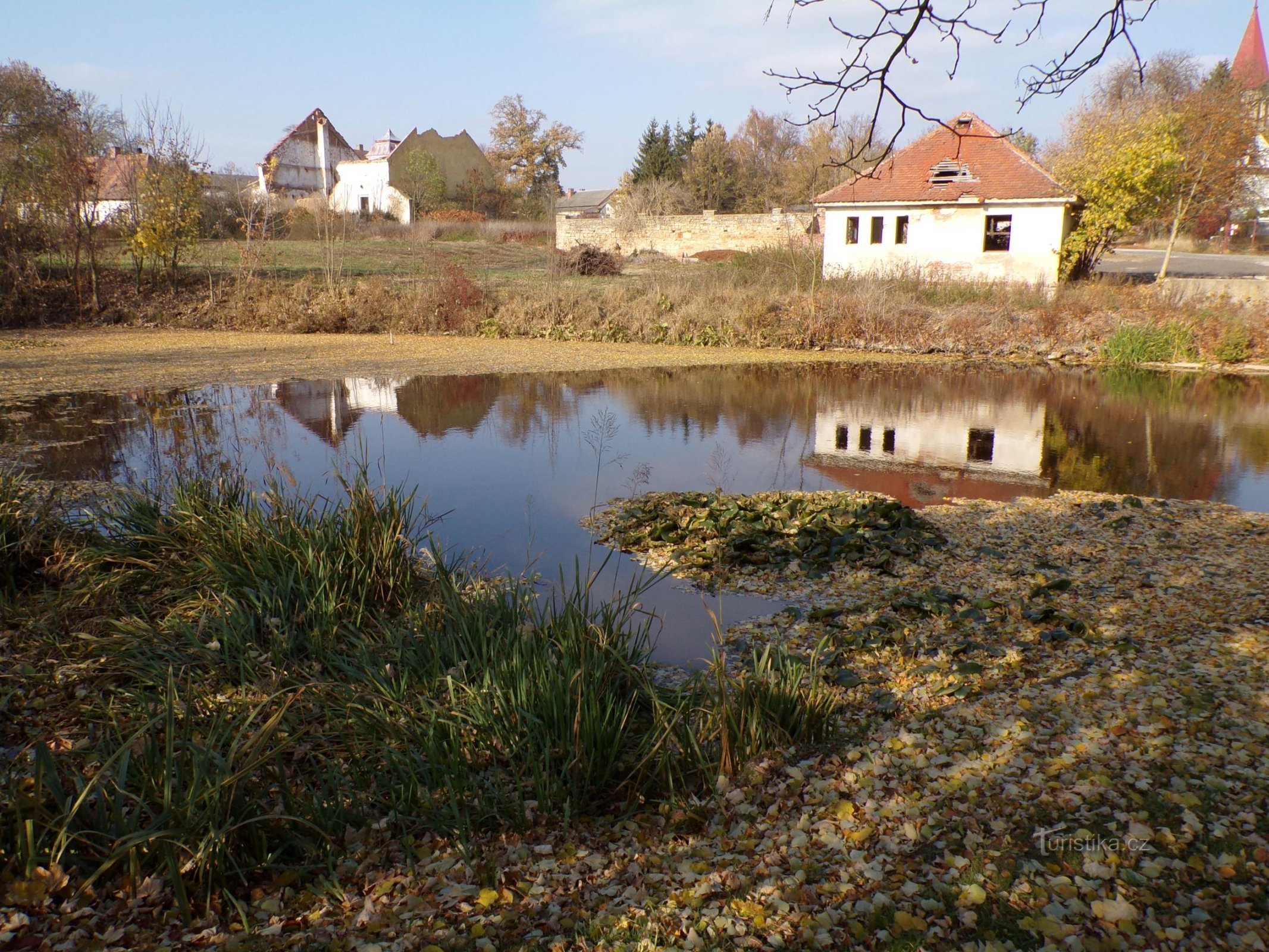 Rybník Barbora (Hořiněves, 1.11.2021)