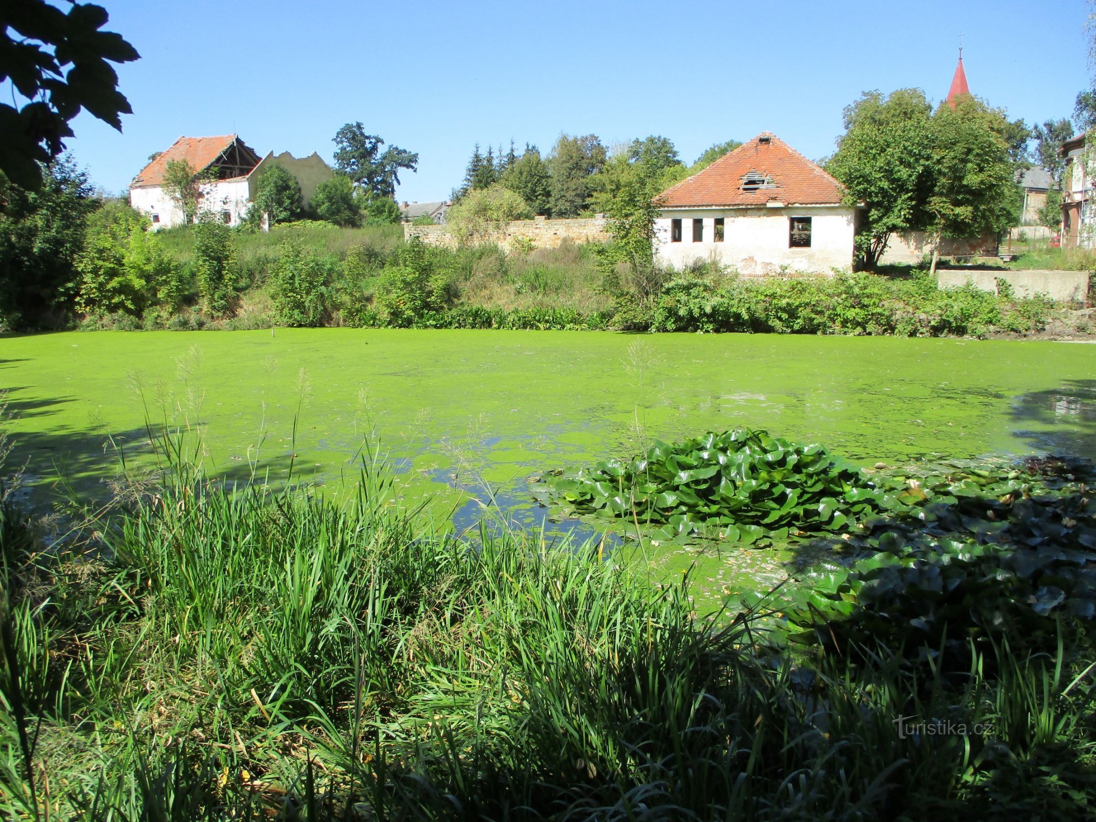 Barbora Pond (Hořiněves, 11.9.2020)