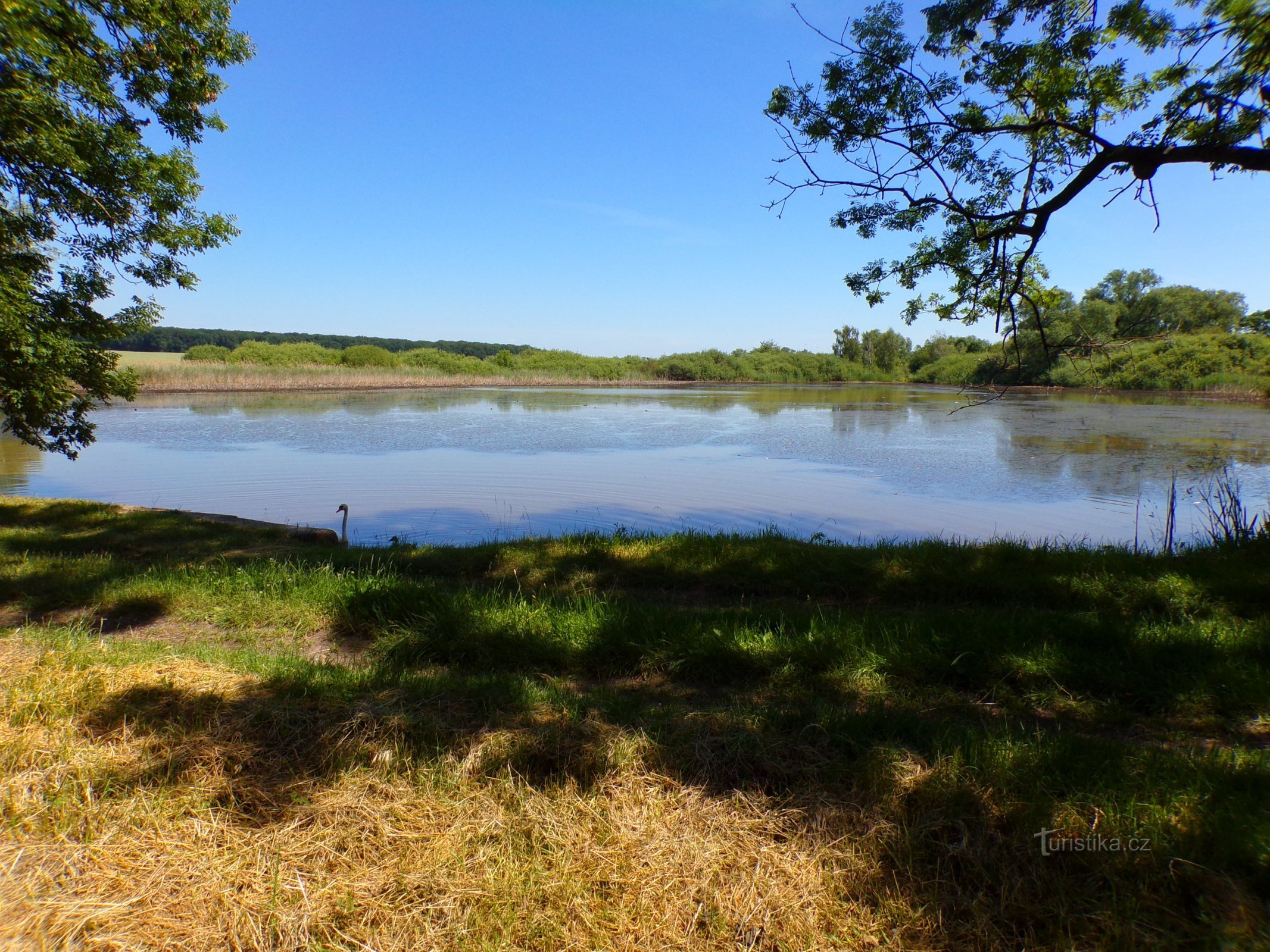 Lamb Pond (Волеч, 15.6.2022)