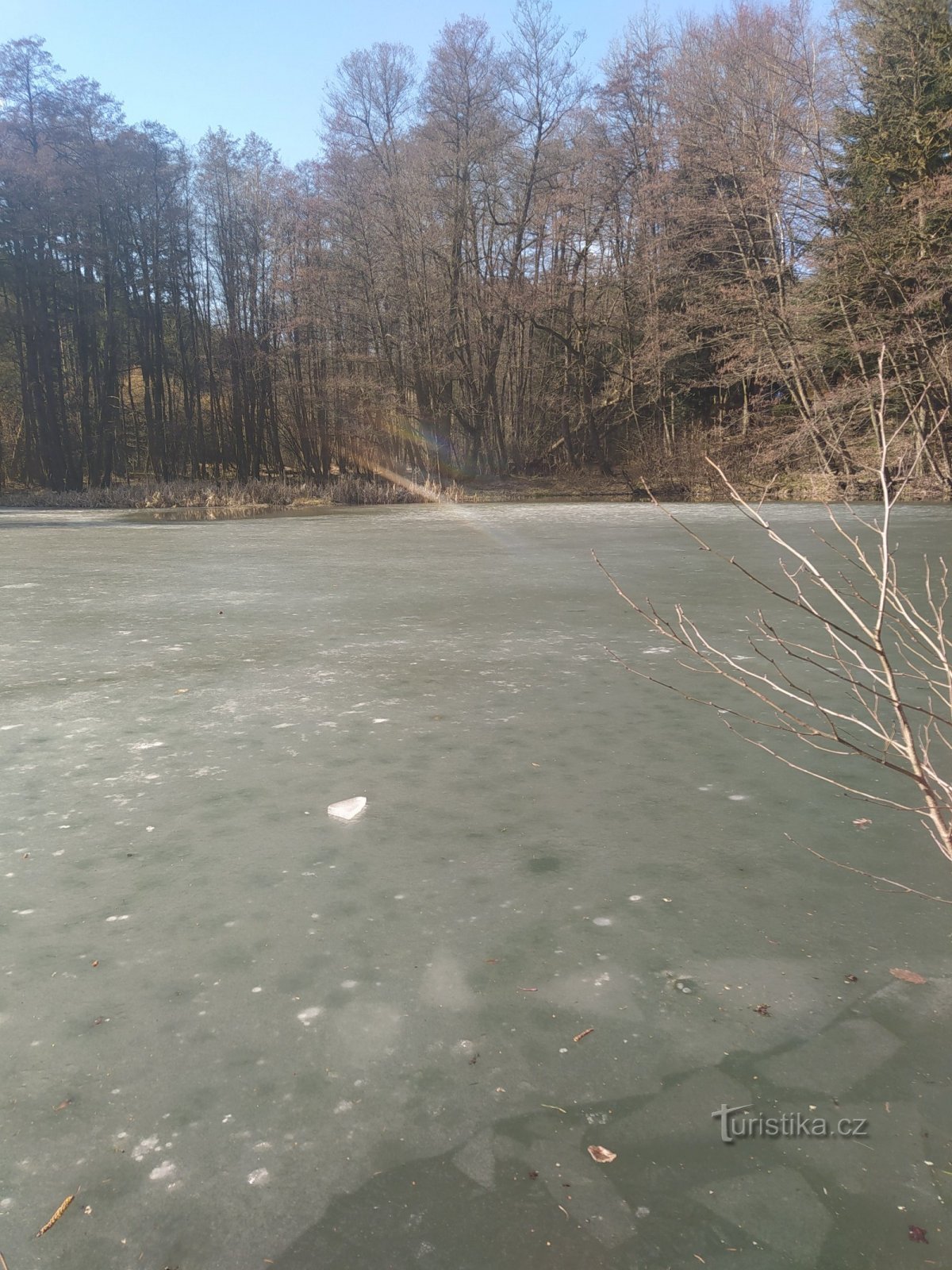 Bezednik dam