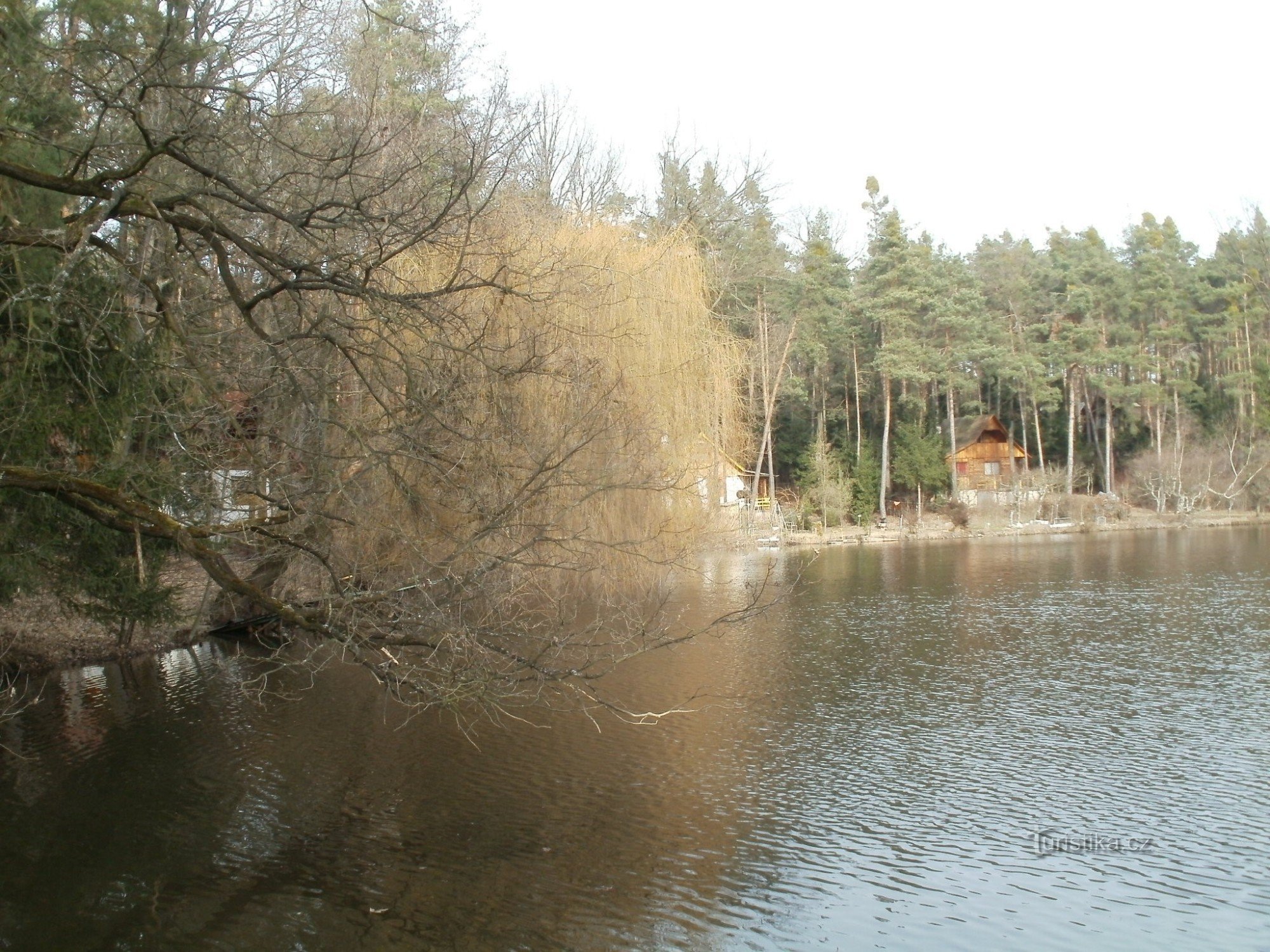 Blažek dam