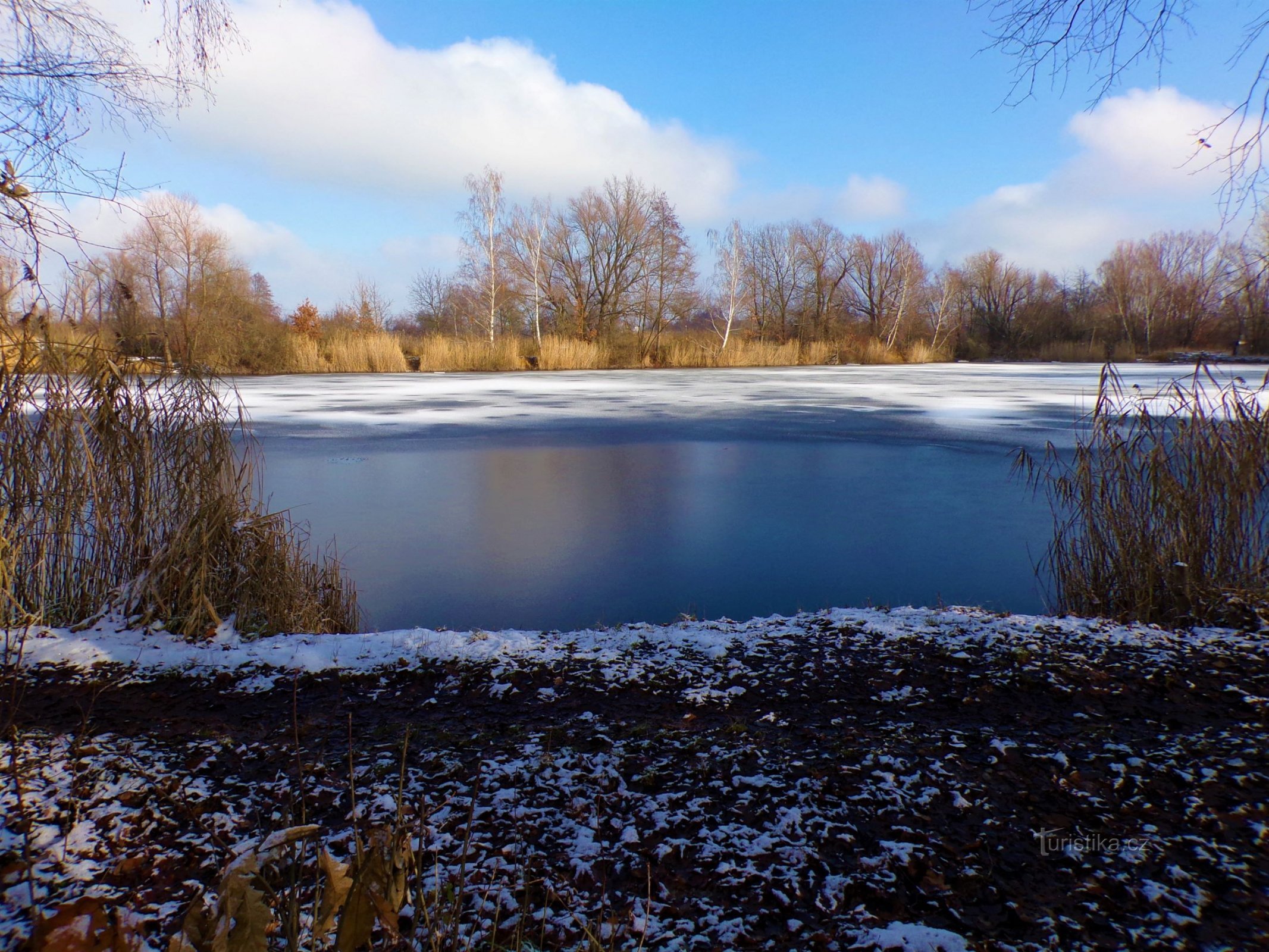 Borovinka-vijver (Hradec Králové, 7.12.2021-XNUMX-XNUMX)