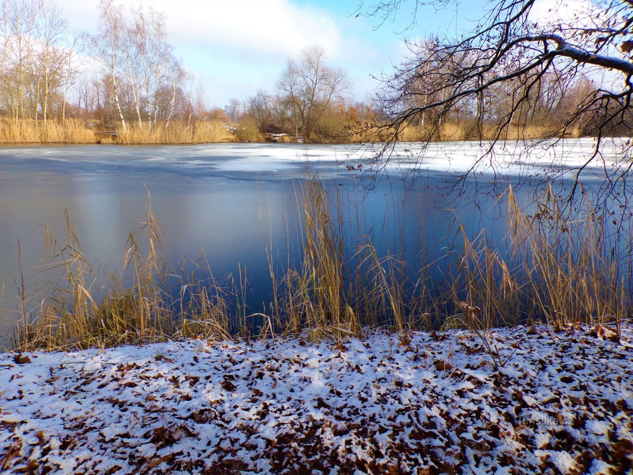 Borovinka Pond (Hradec Králové, 7.12.2021)