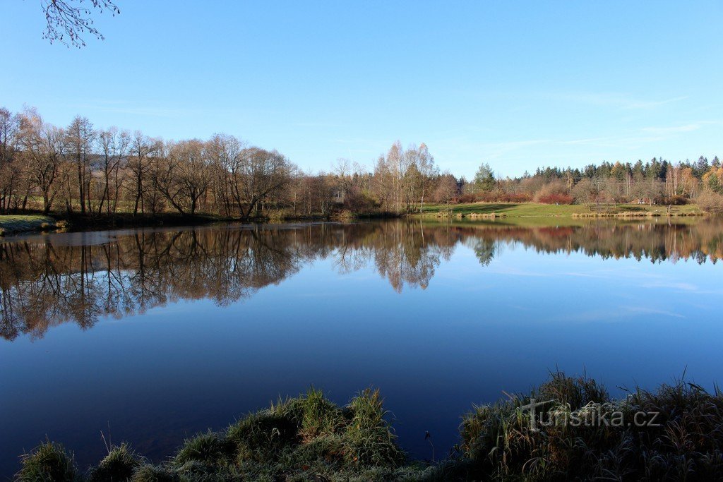 Teich Bušek, Blick vom Ostufer