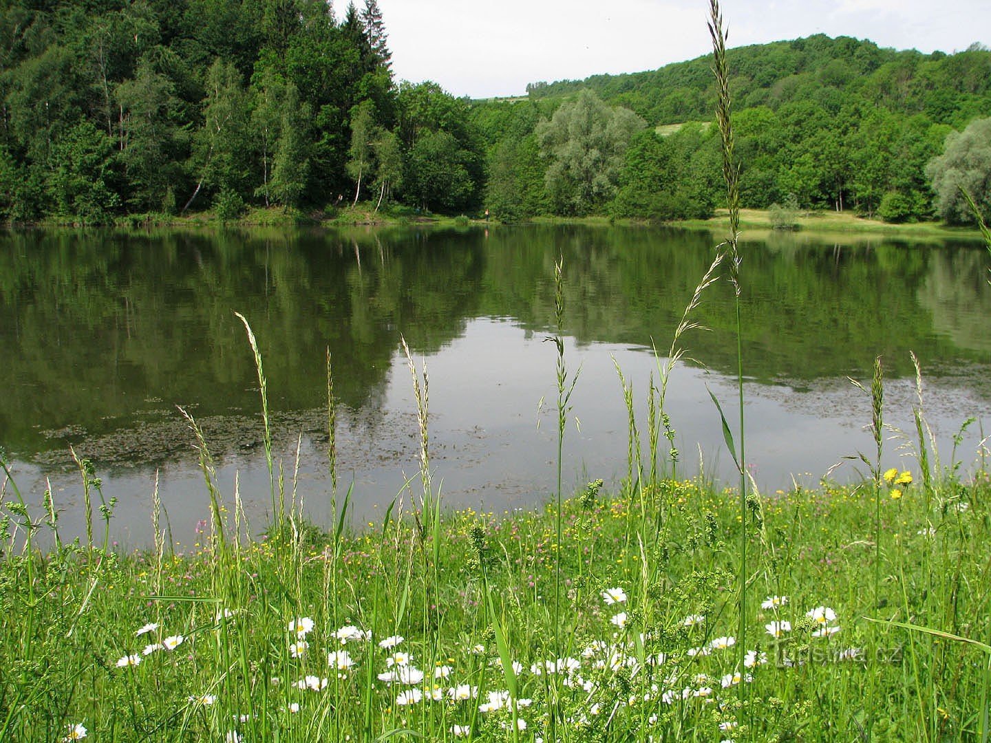 Cerťák pond