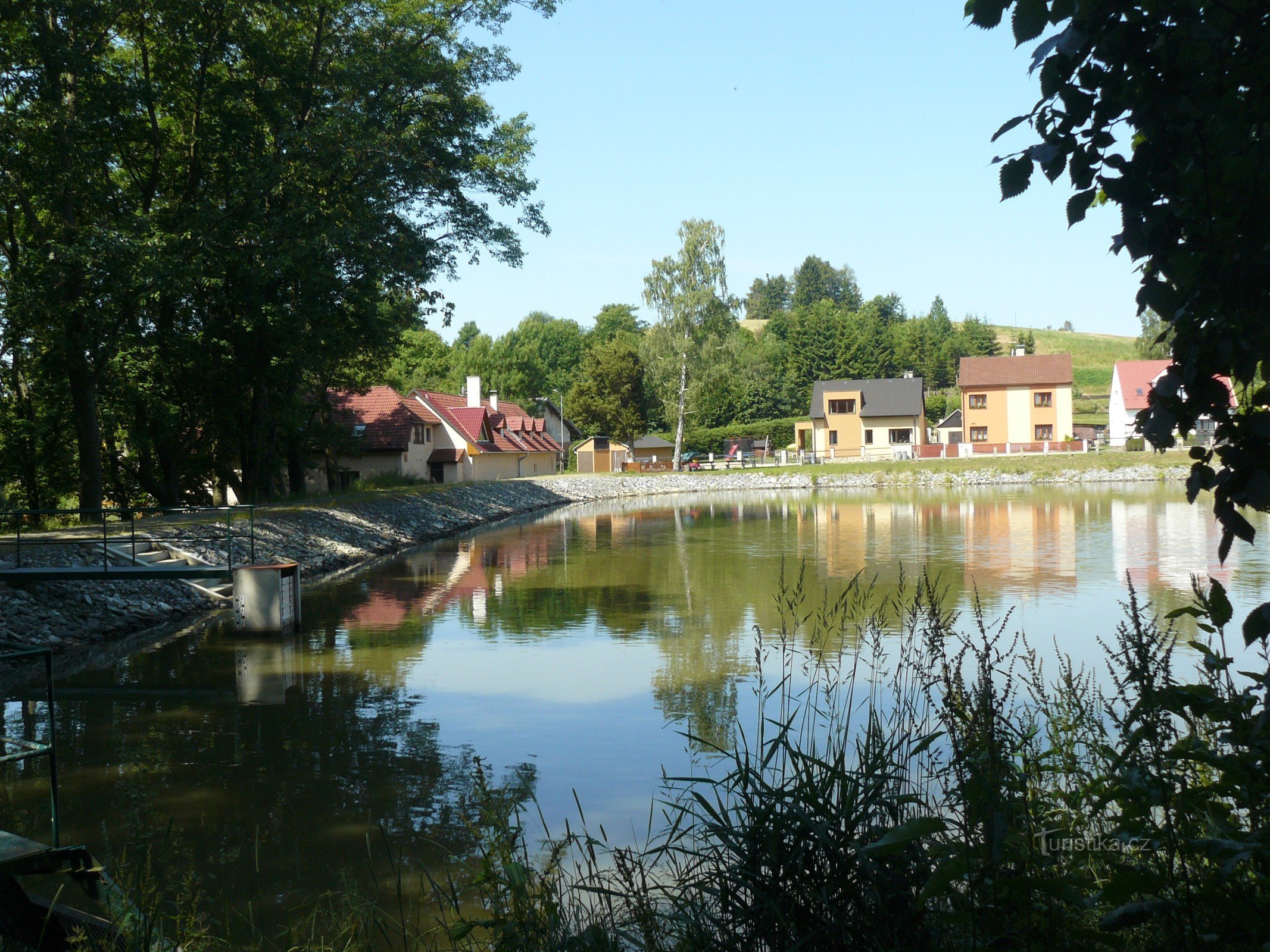 Pond Chadimák