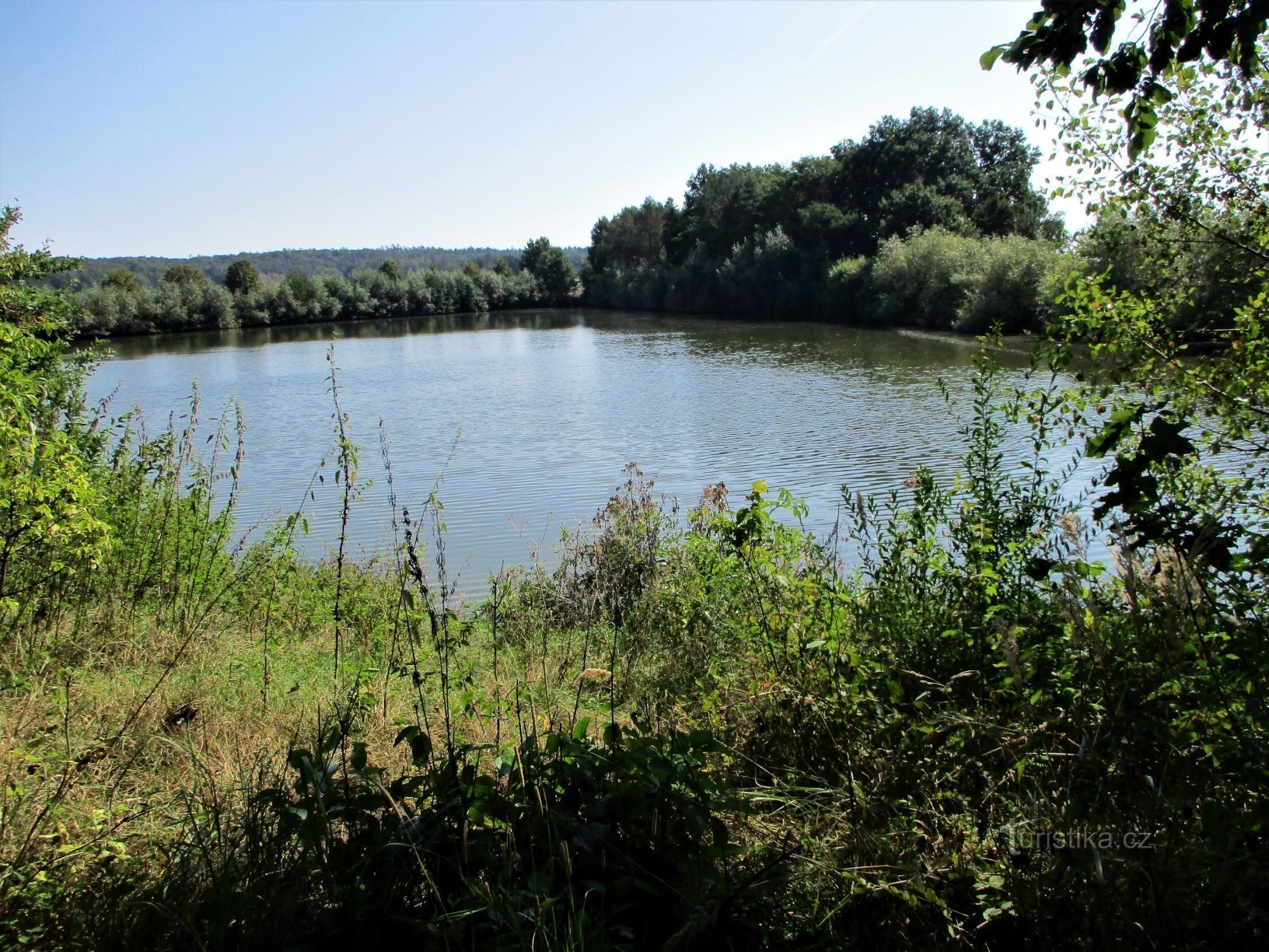 Teich Čičánek (Nepasice, 15.9.2020)