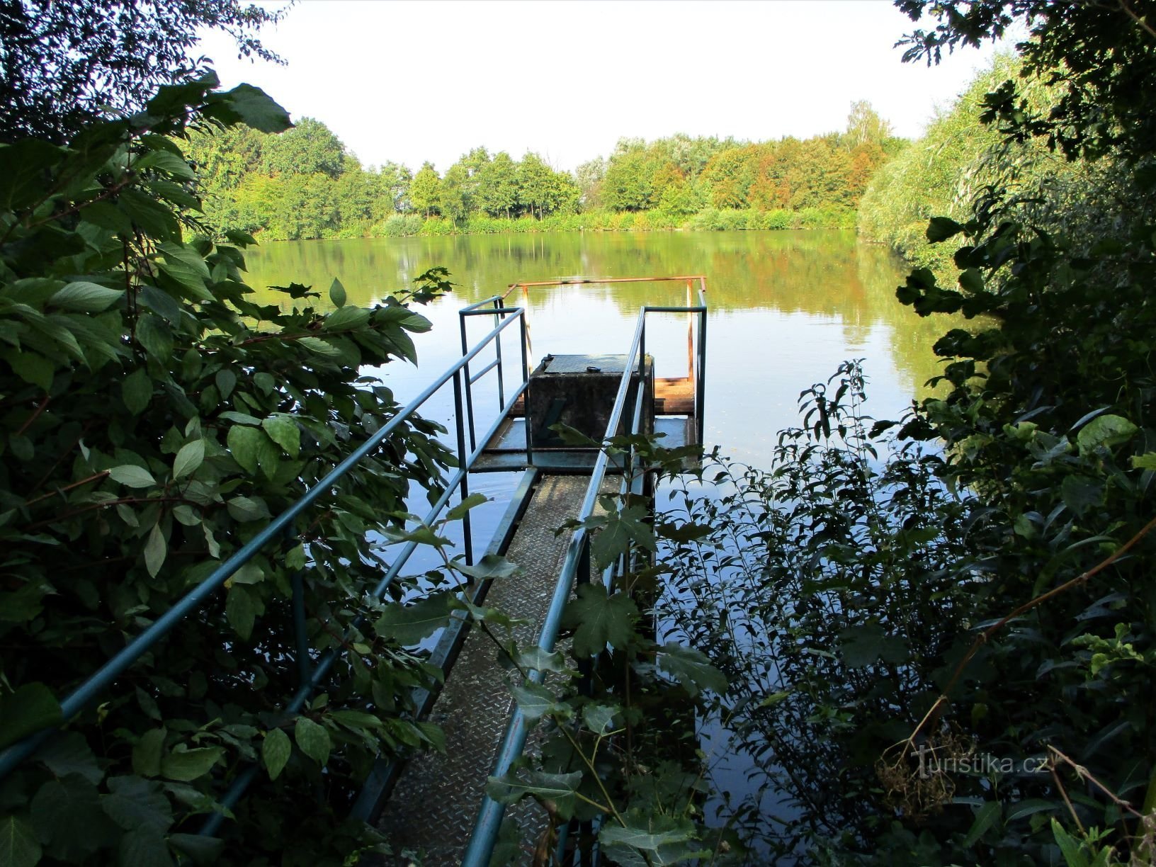 Čičánek Pond (Nepasice, 15.9.2020/XNUMX/XNUMX)