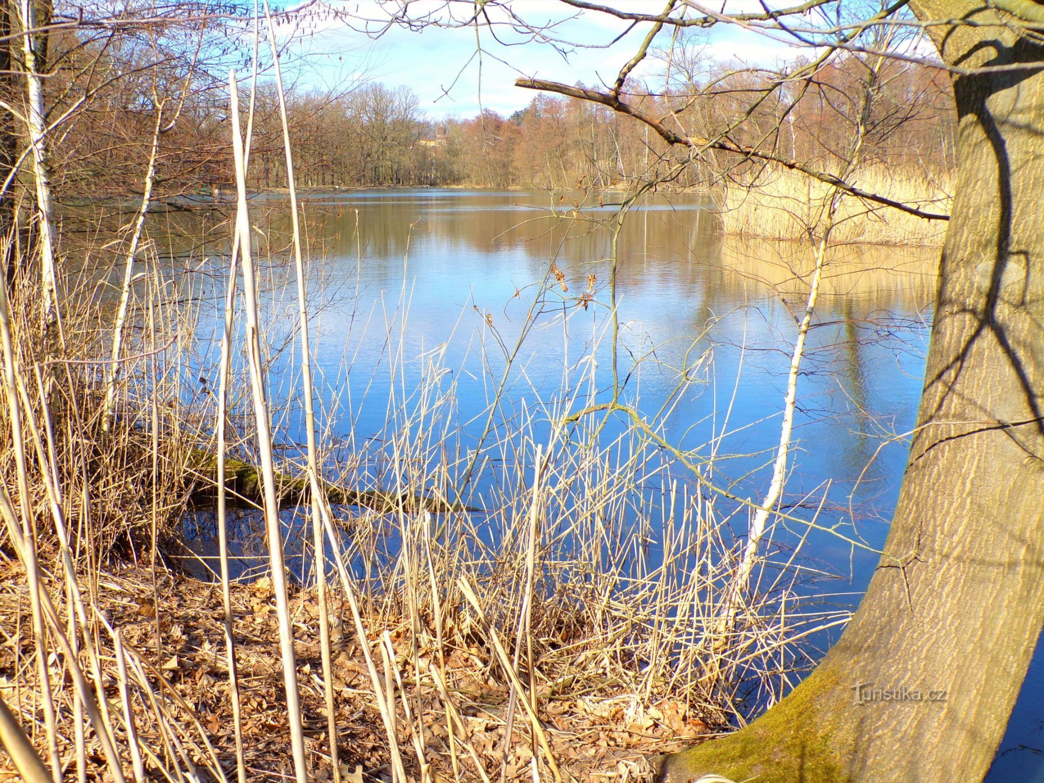 Datlík dam (Hradec Králové, 28.2.2022/XNUMX/XNUMX)