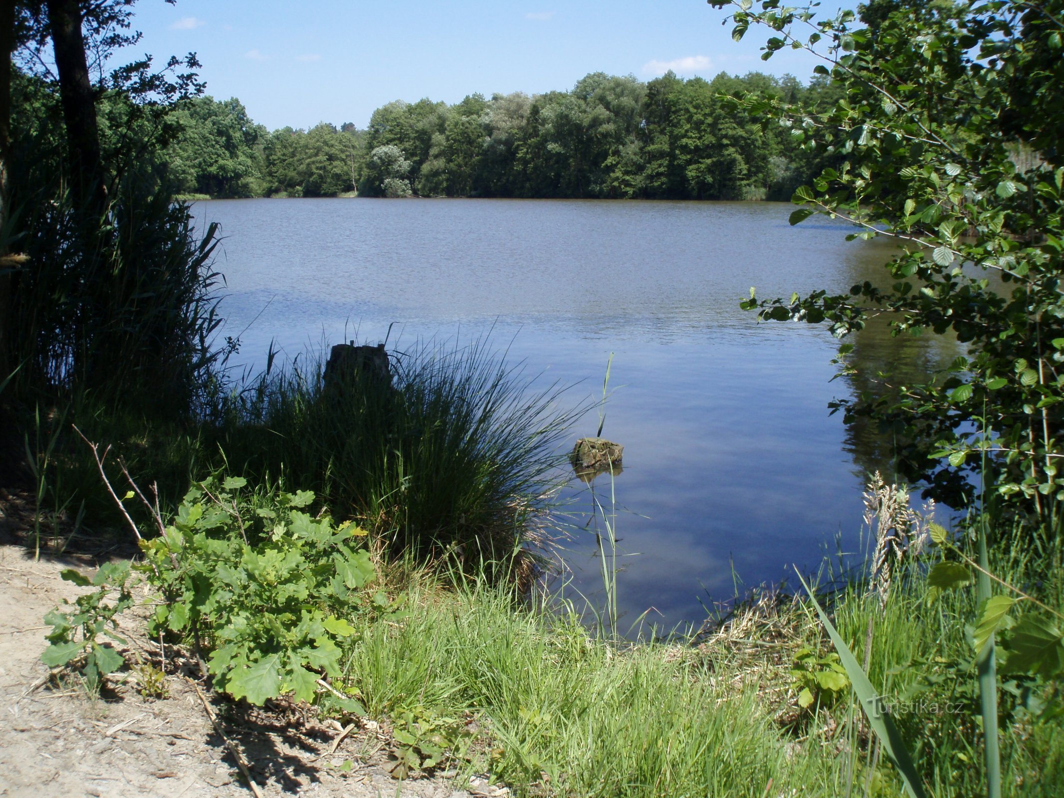 Lagoa Datlík (Hradec Králové, 31.5.2011/XNUMX/XNUMX)