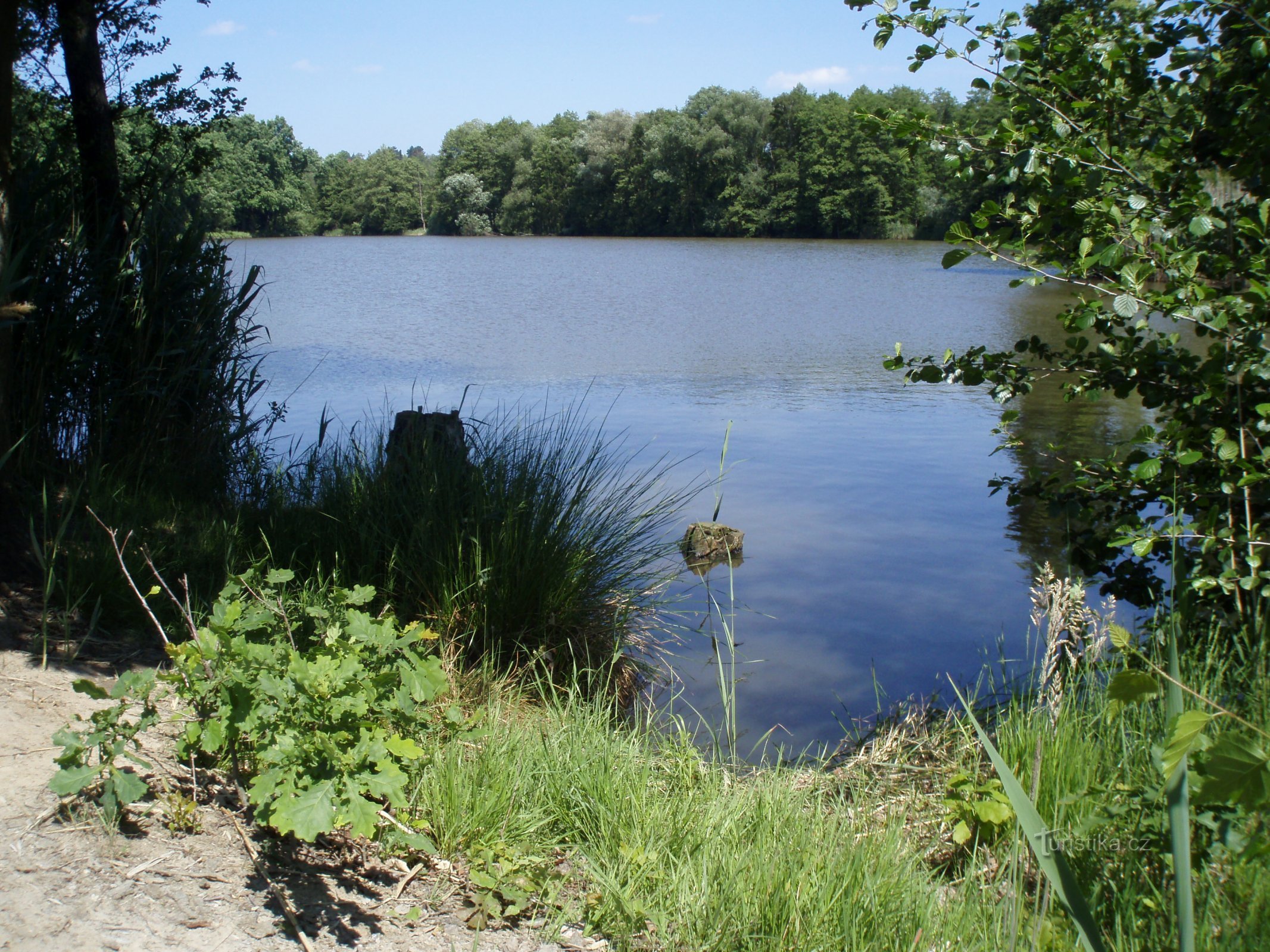 Laghetto Datlík (Hradec Králové, 31.5.2011/XNUMX/XNUMX)