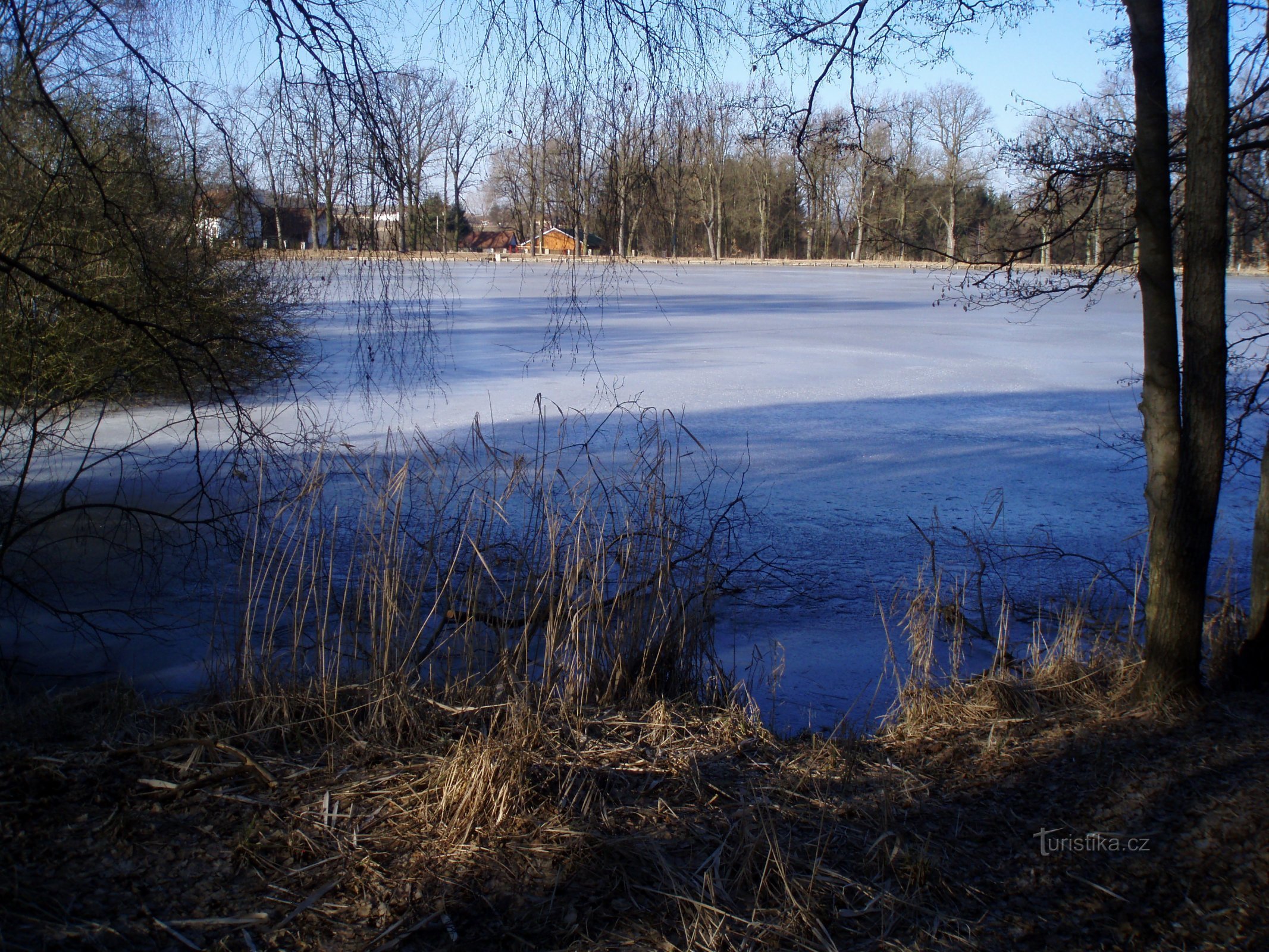 Laghetto Datlík (Hradec Králové, 8.3.2011/XNUMX/XNUMX)