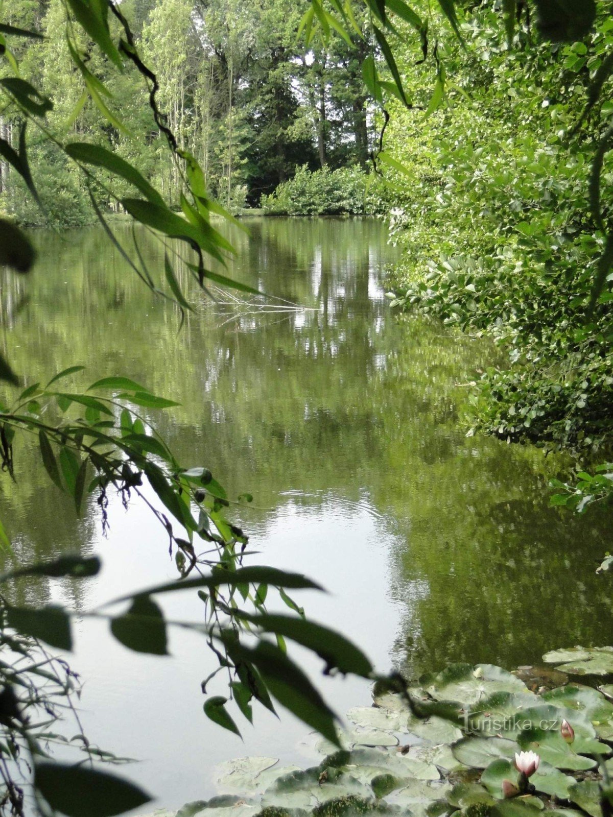 Dobračov pond