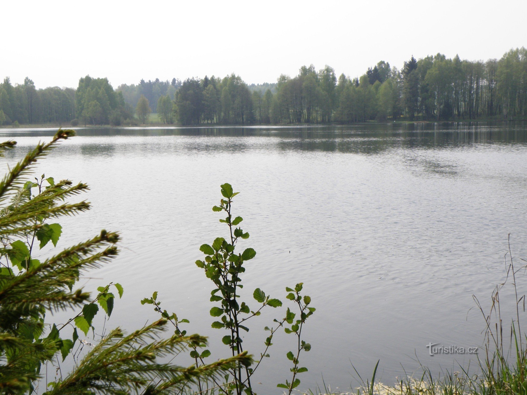 Dolíška-Teich im Frühling