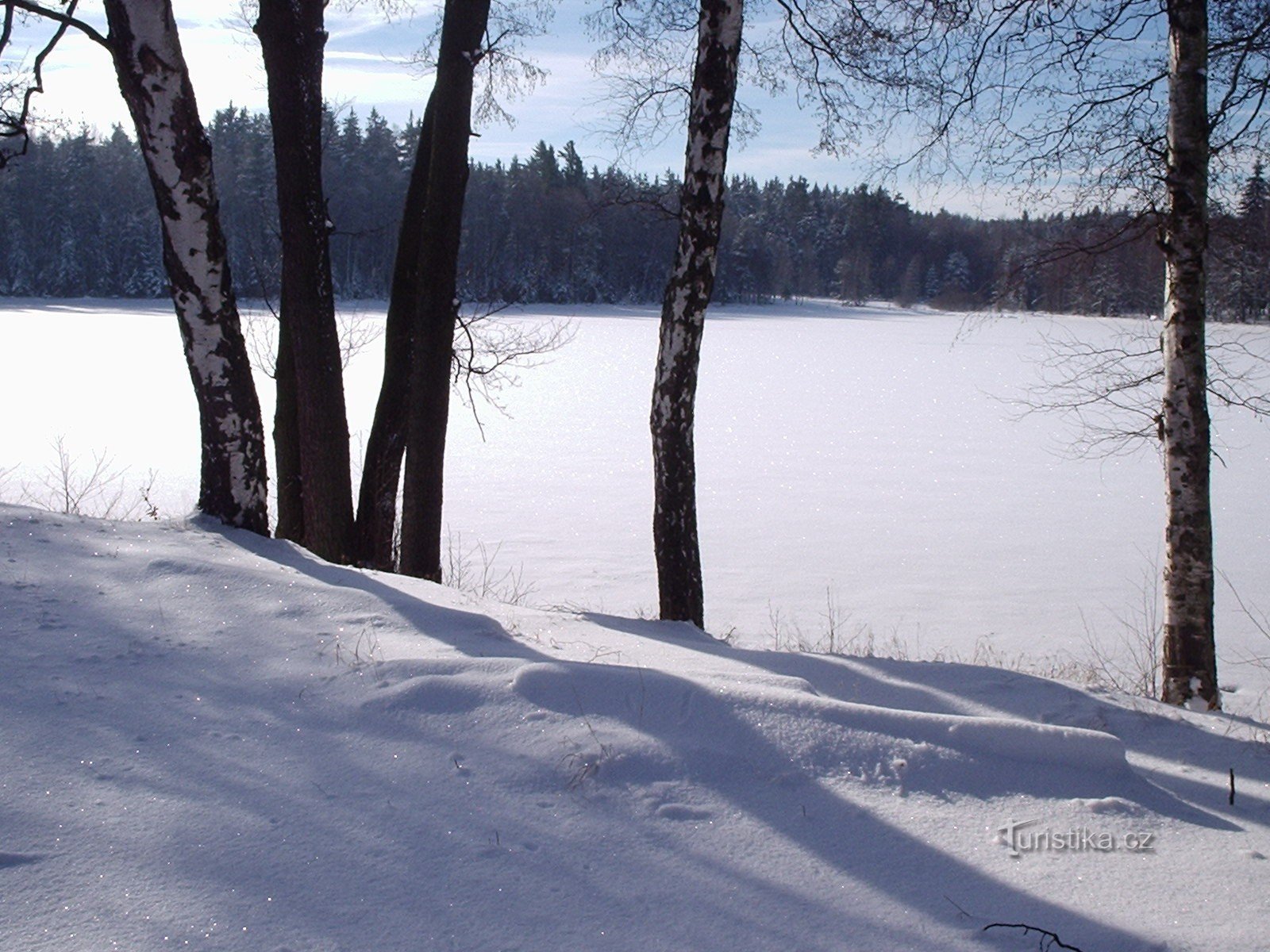 Dolíška pond in winter