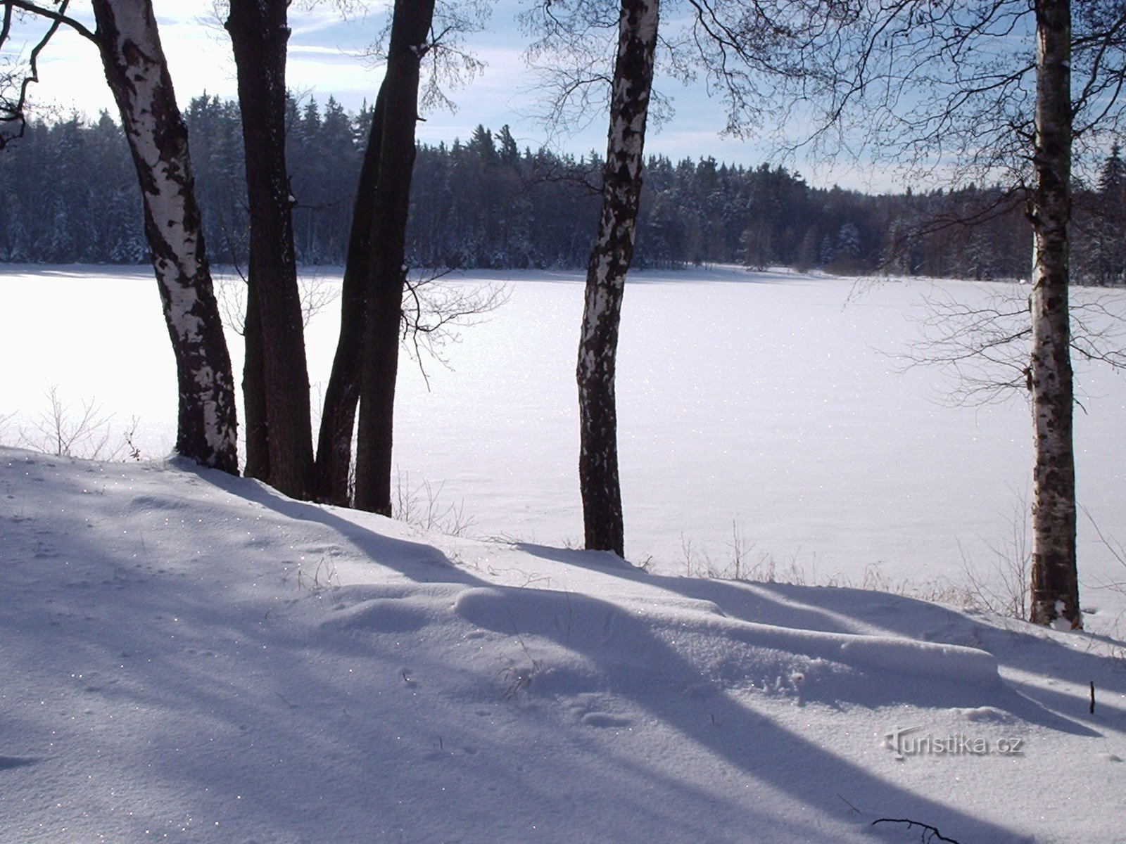 Étang Dolíška en hiver