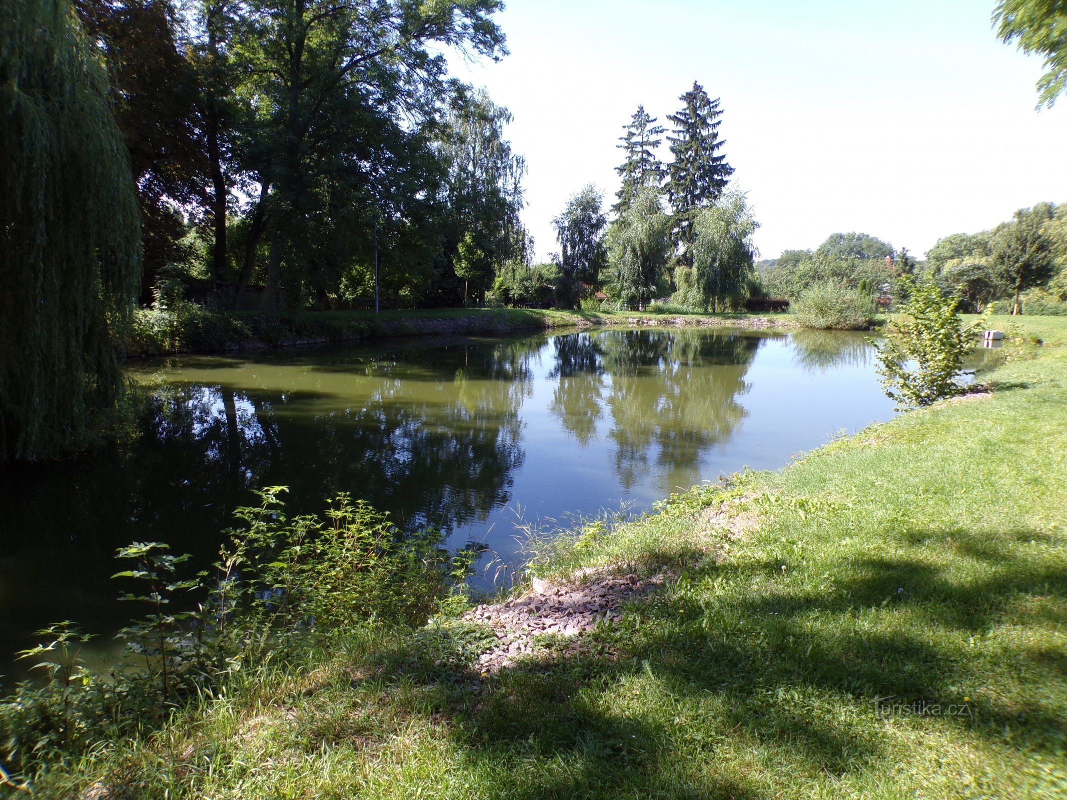 Teich (Dolní Přím, 15.8.2021)