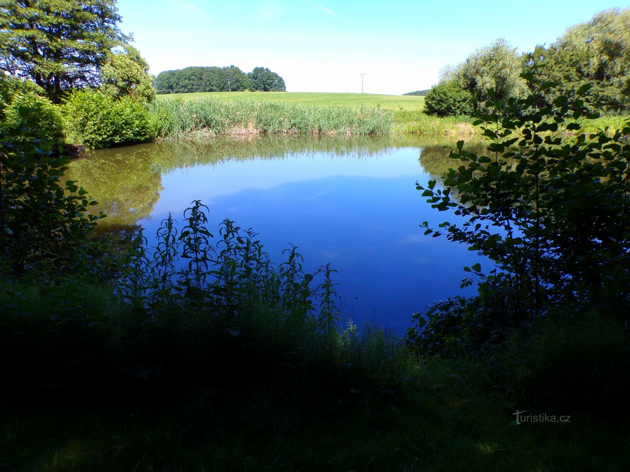 Durasko Pond (справа, 15.6.2022)