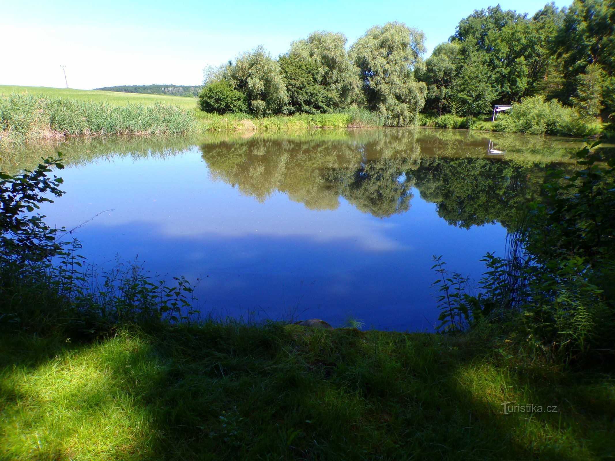 Durasko-Teich (rechts, 15.6.2022)