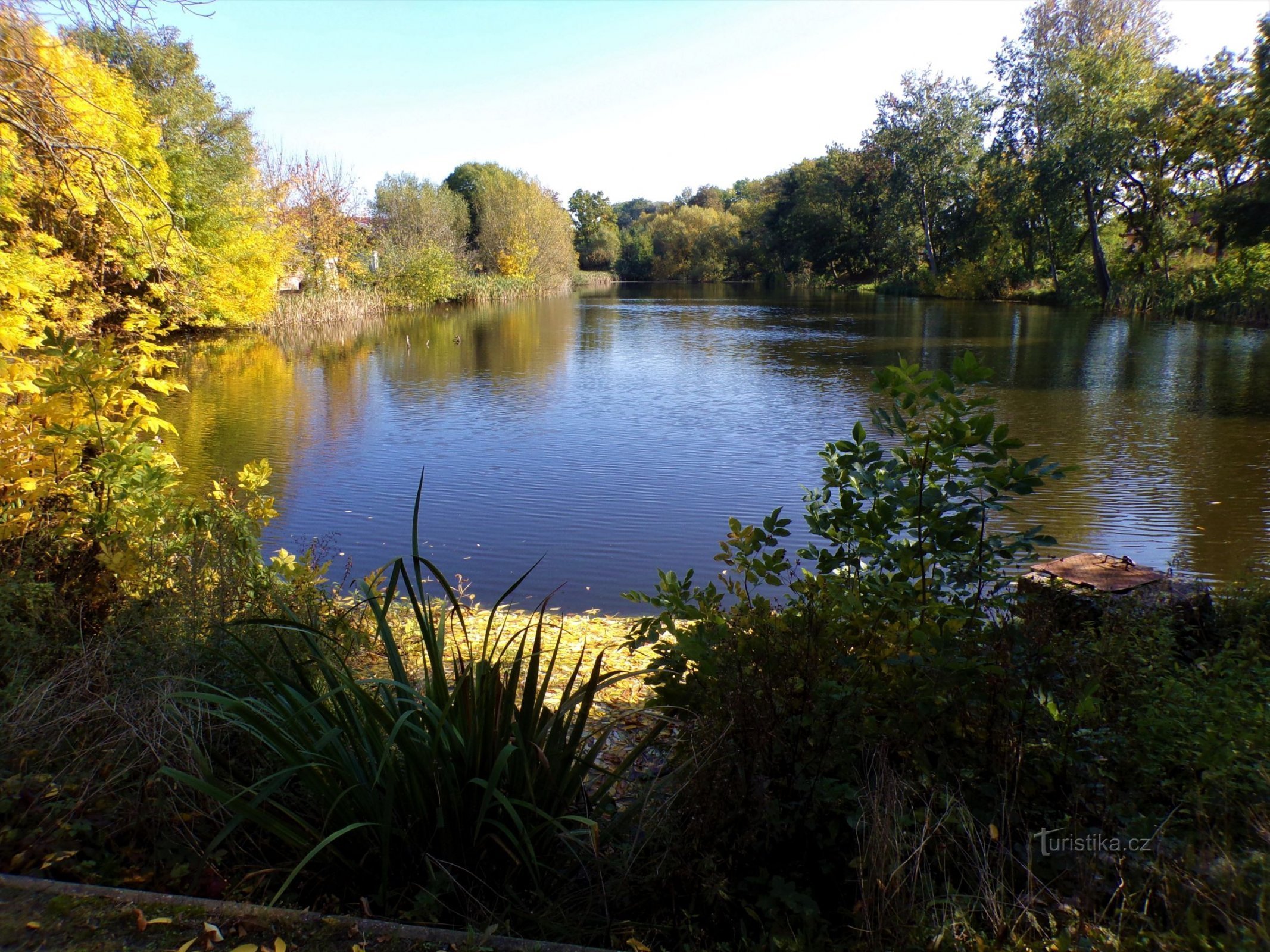 Dvořák Pond (Kunčice, 8.10.2021 oktober XNUMX)