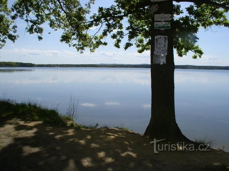 Dvořiště pond