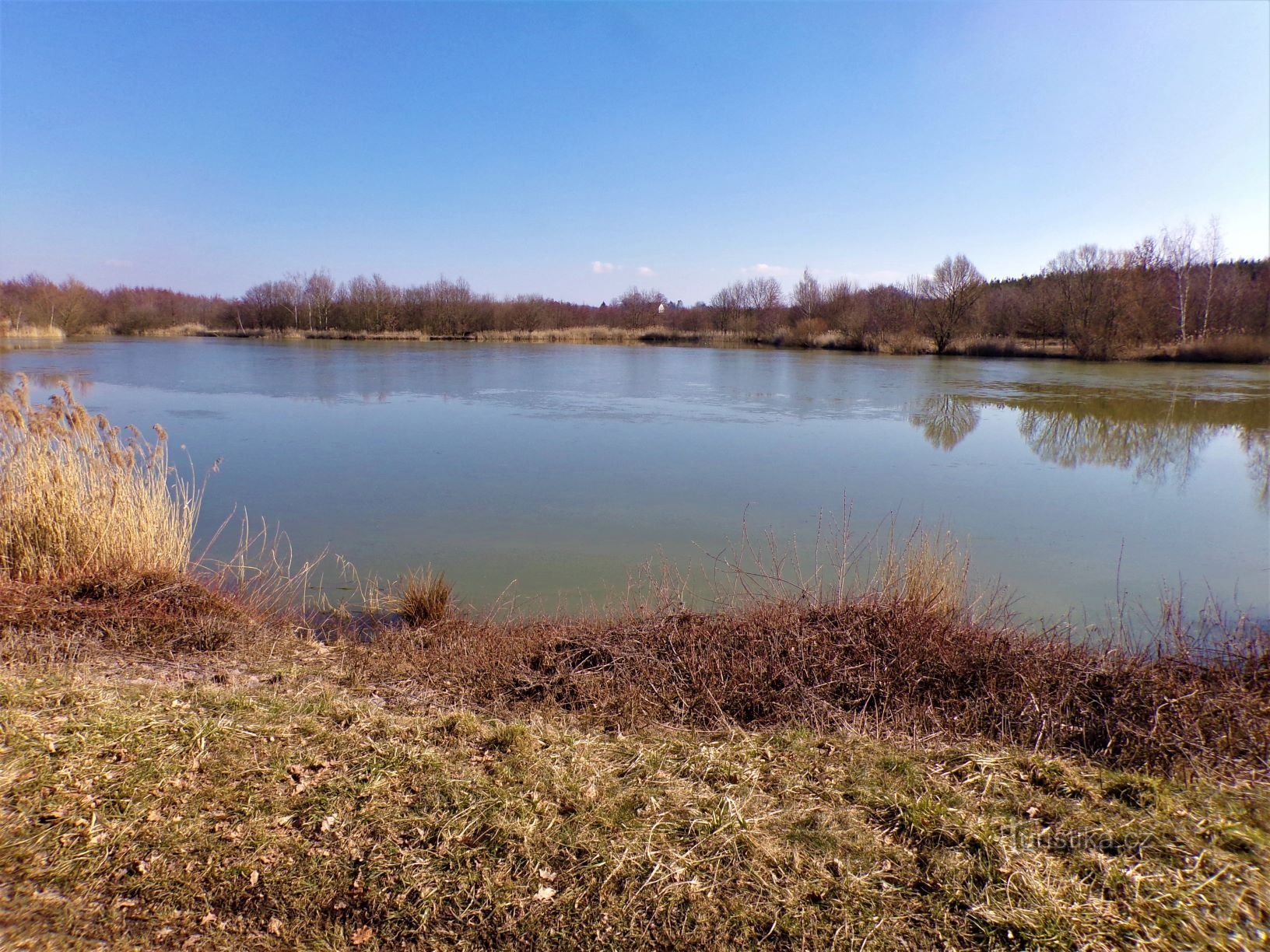 Frešle Pond (Librantice, 13.3.2020)