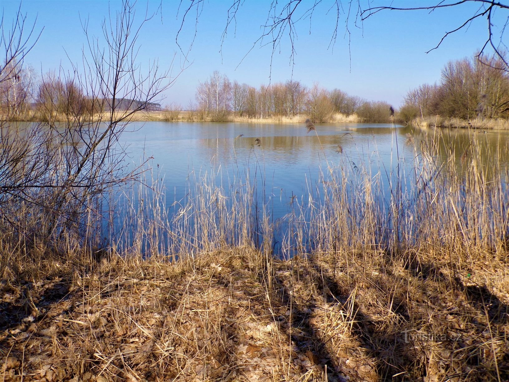 Frešle 池塘（Librantice，13.3.2020 年 XNUMX 月 XNUMX 日）