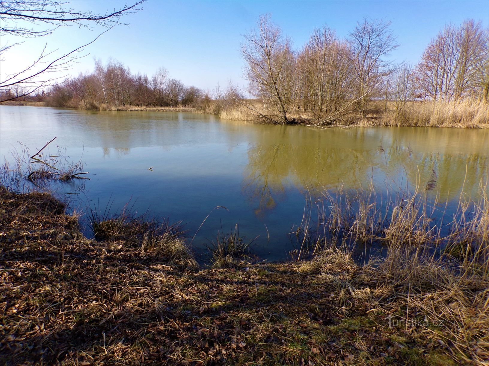 Frešle Pond (Librantice, 13.3.2020)