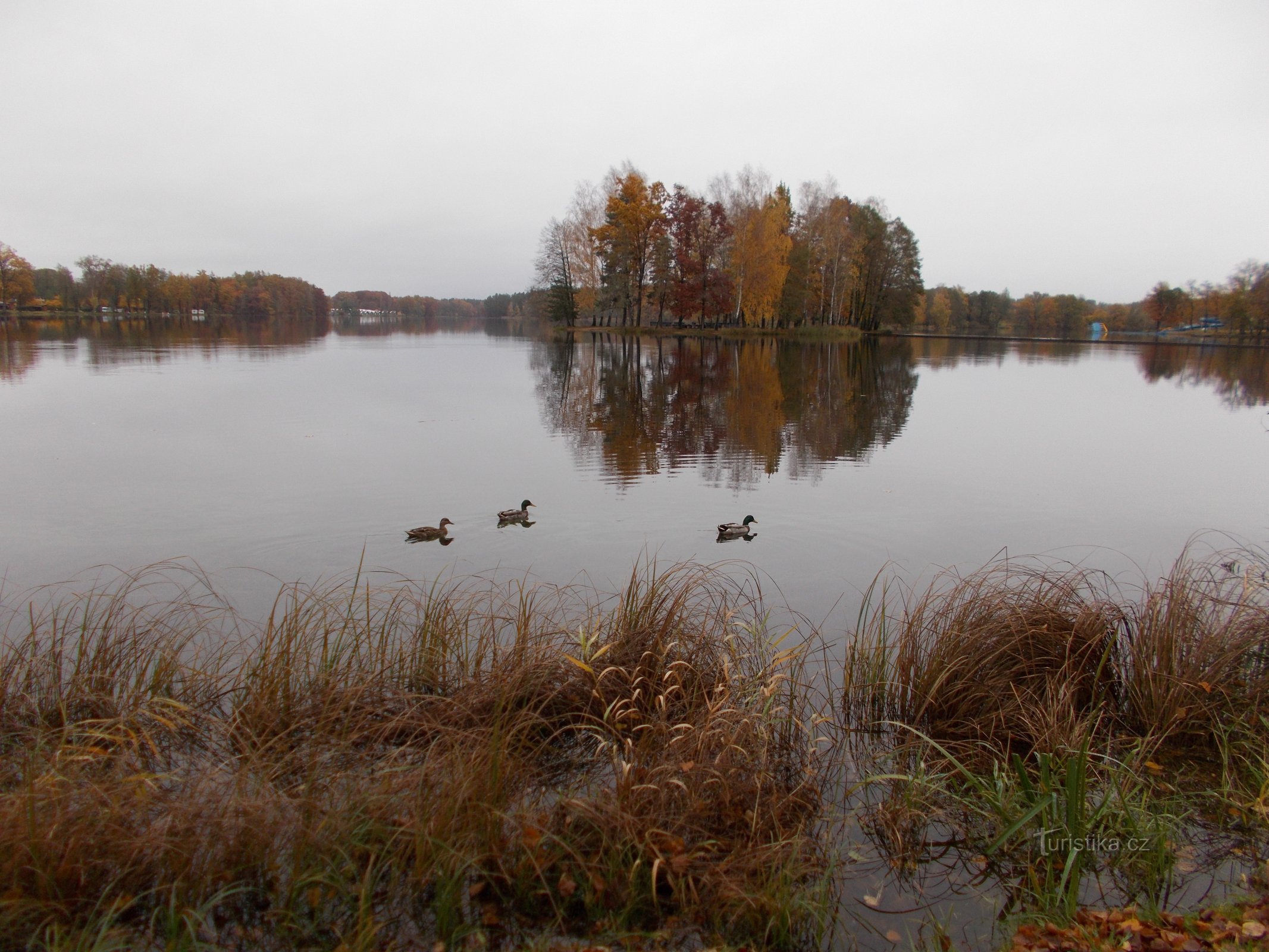 Hejtman Pond