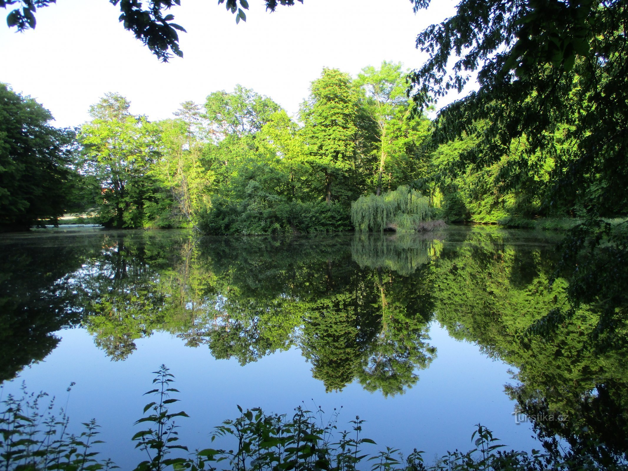 Ao Hlubůček (Dobřenice, ngày 7.6.2019 tháng XNUMX năm XNUMX)