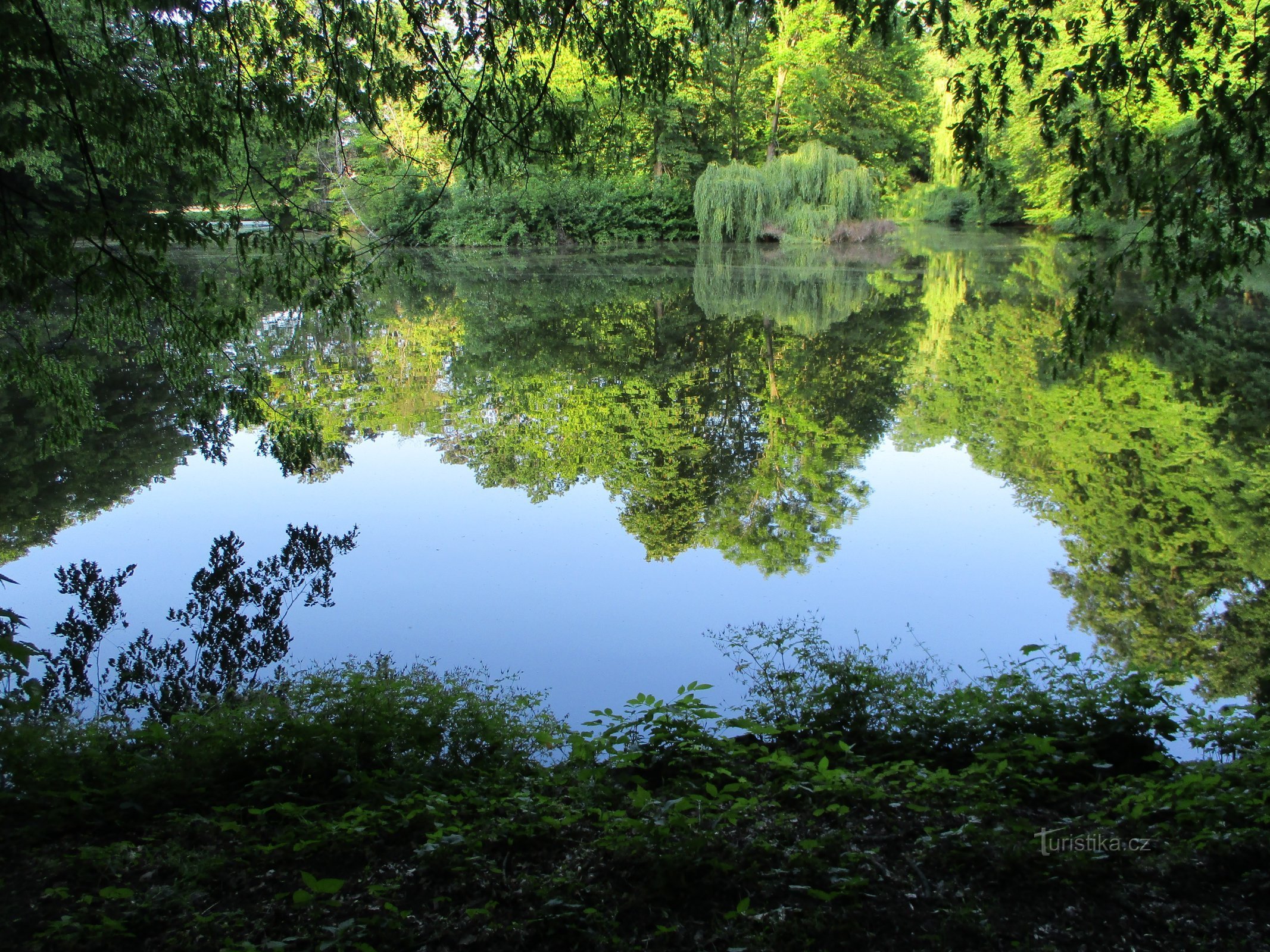 Estanque Hlubůček (Dobřenice, 7.6.2019 de junio de XNUMX)