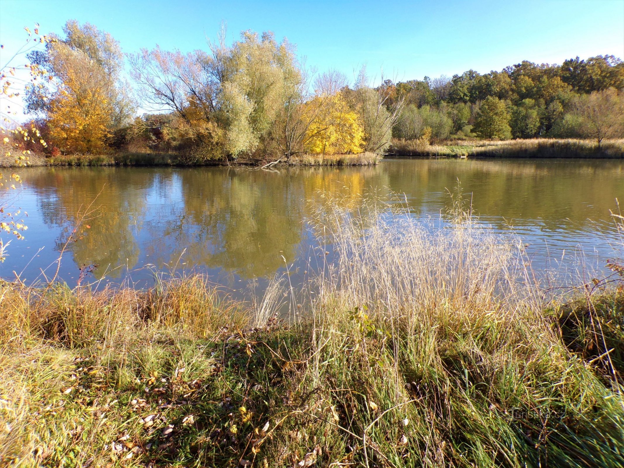 Homoláč Pond (Λοντίν, 24.10.2021/XNUMX/XNUMX)