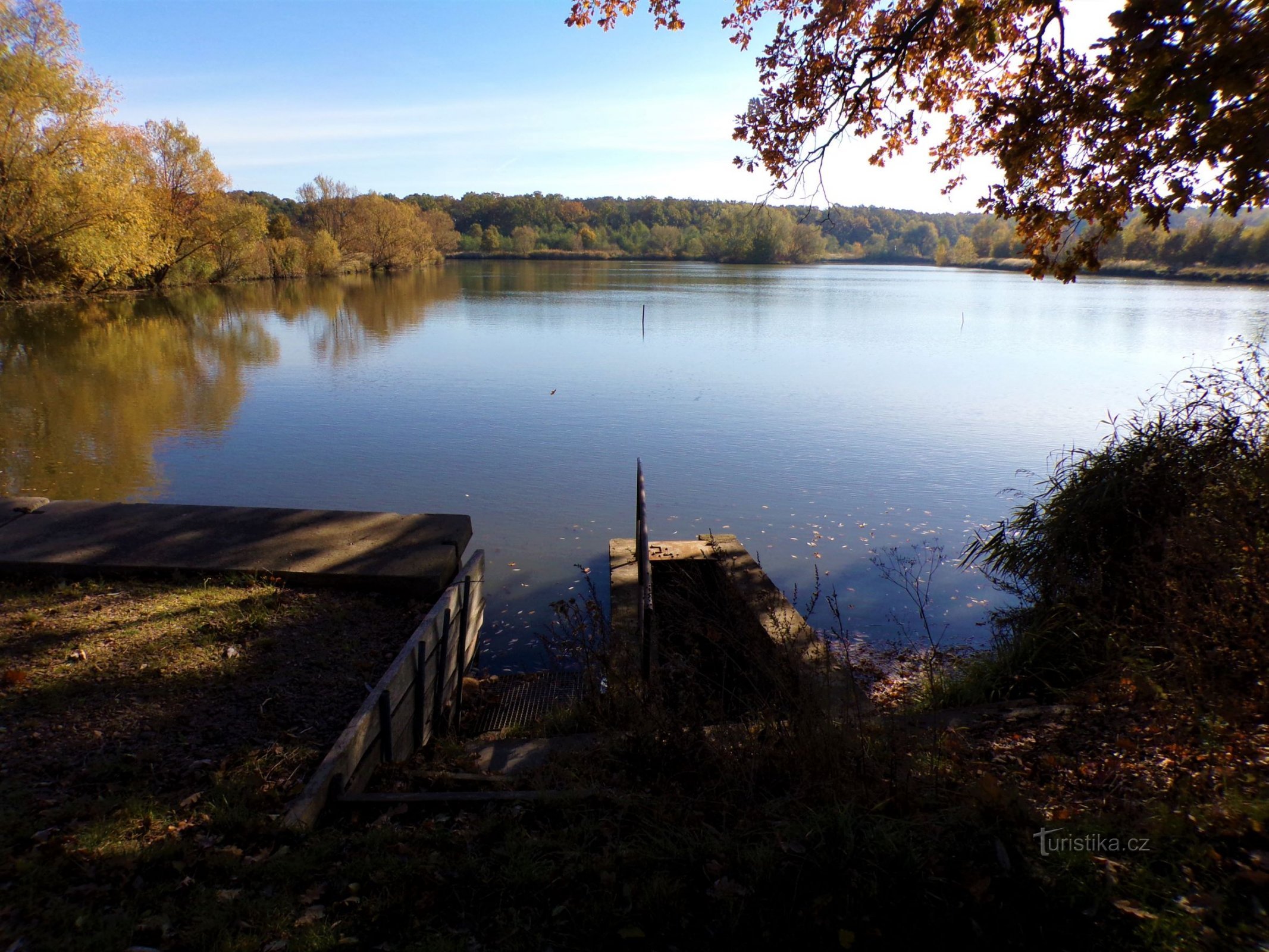 Homoláč-vijver (Lodín, 24.10.2021/XNUMX/XNUMX)