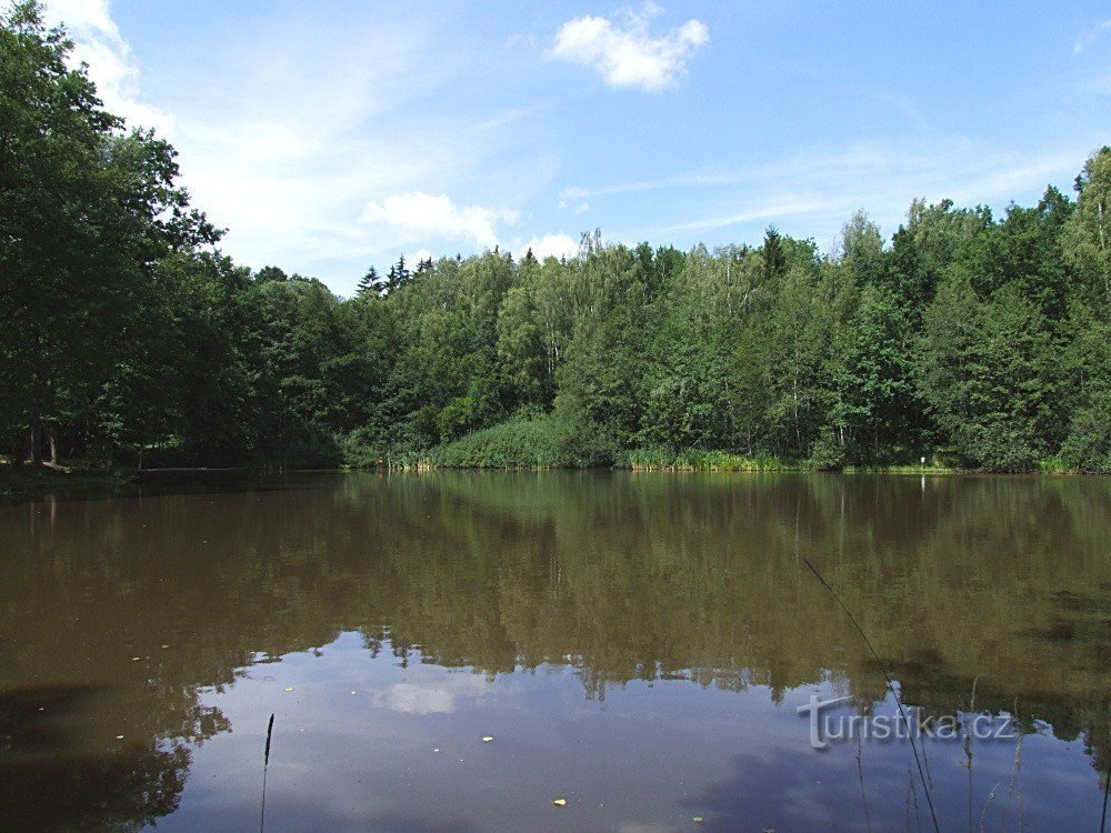 Teich Horní Trocnov