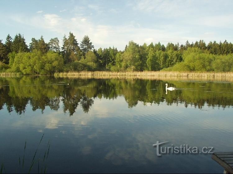 Hranečník pond