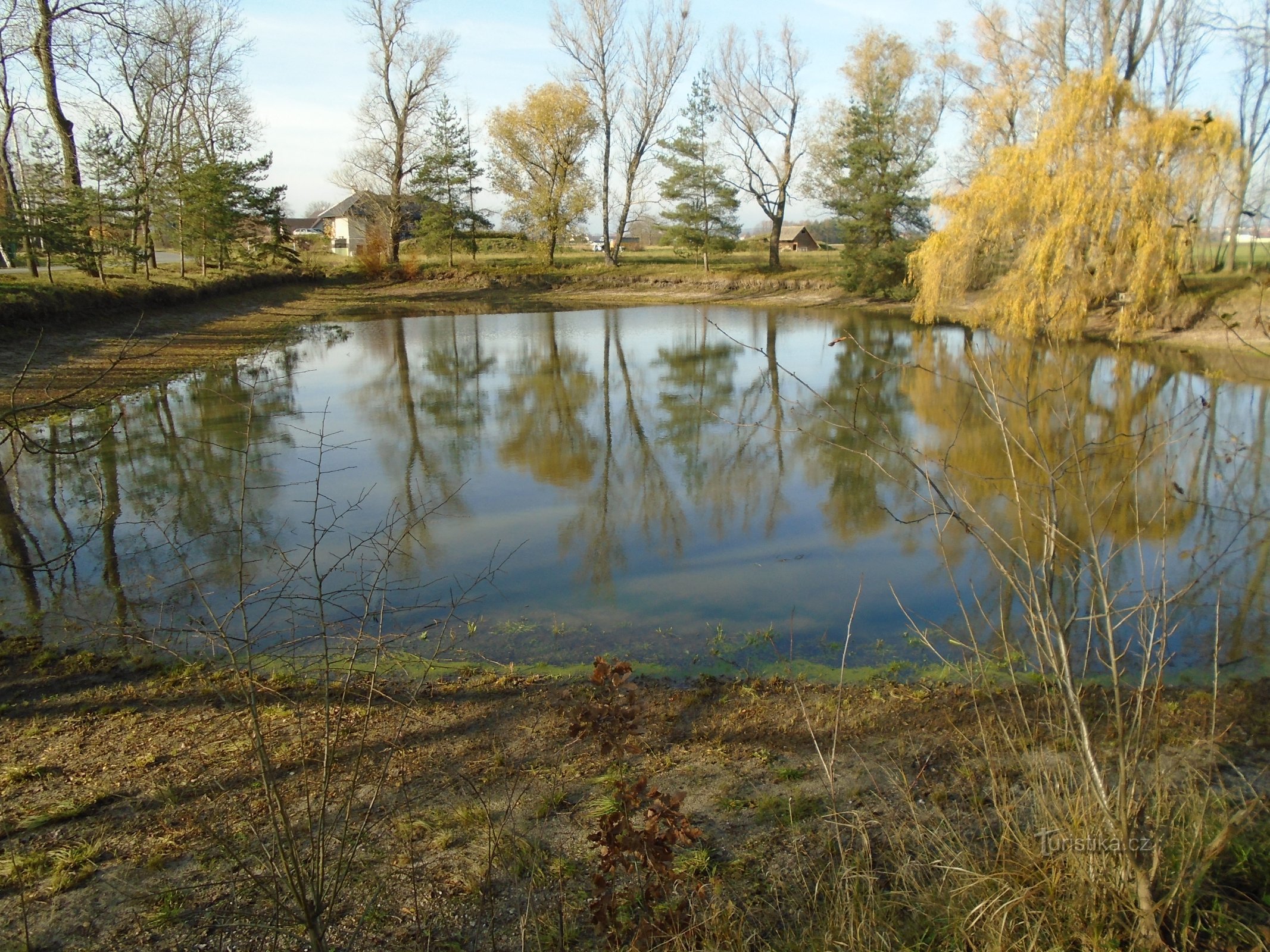 Pond (Hubenice)