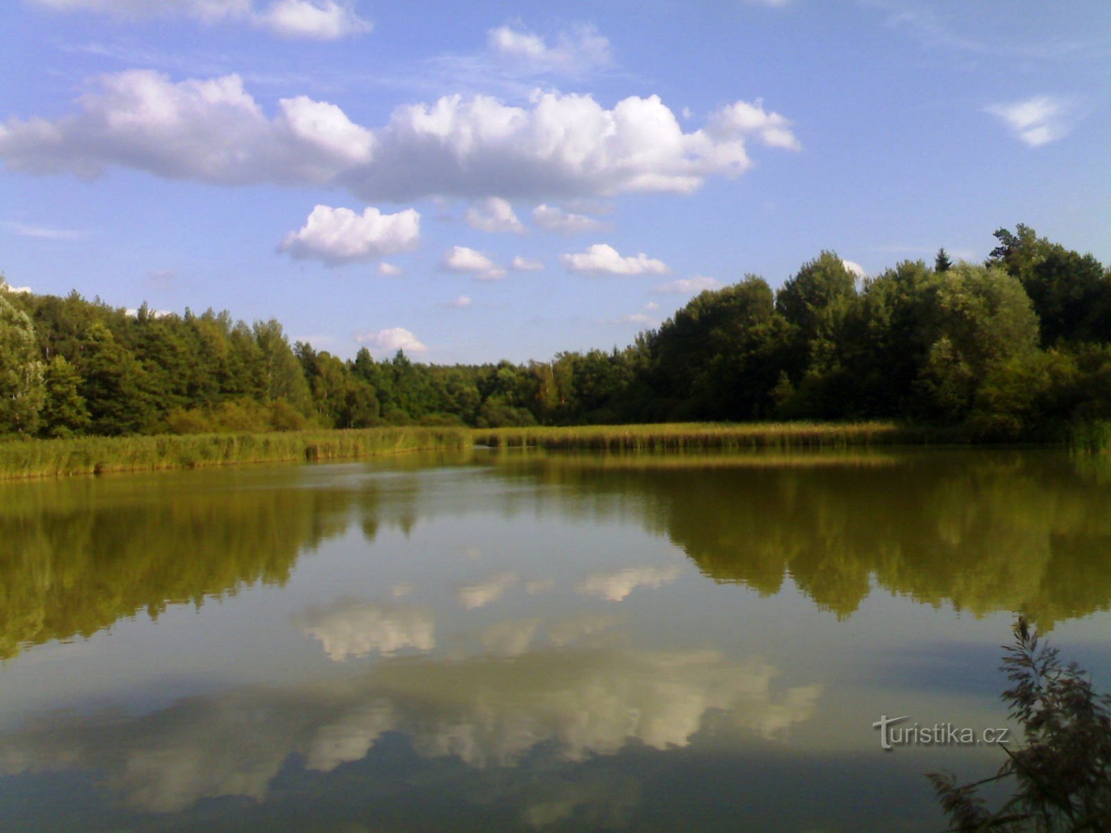 Rybník Jáma - Na Plachtě