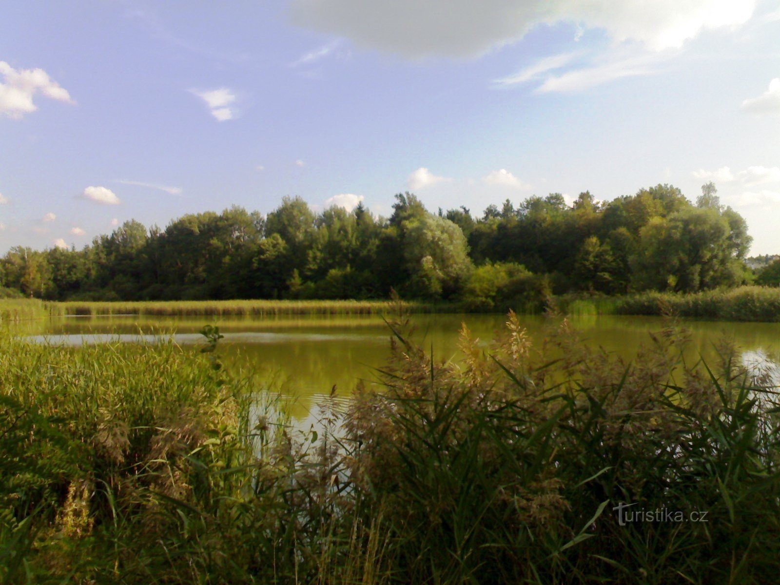 Jama Pond - Purjeessa