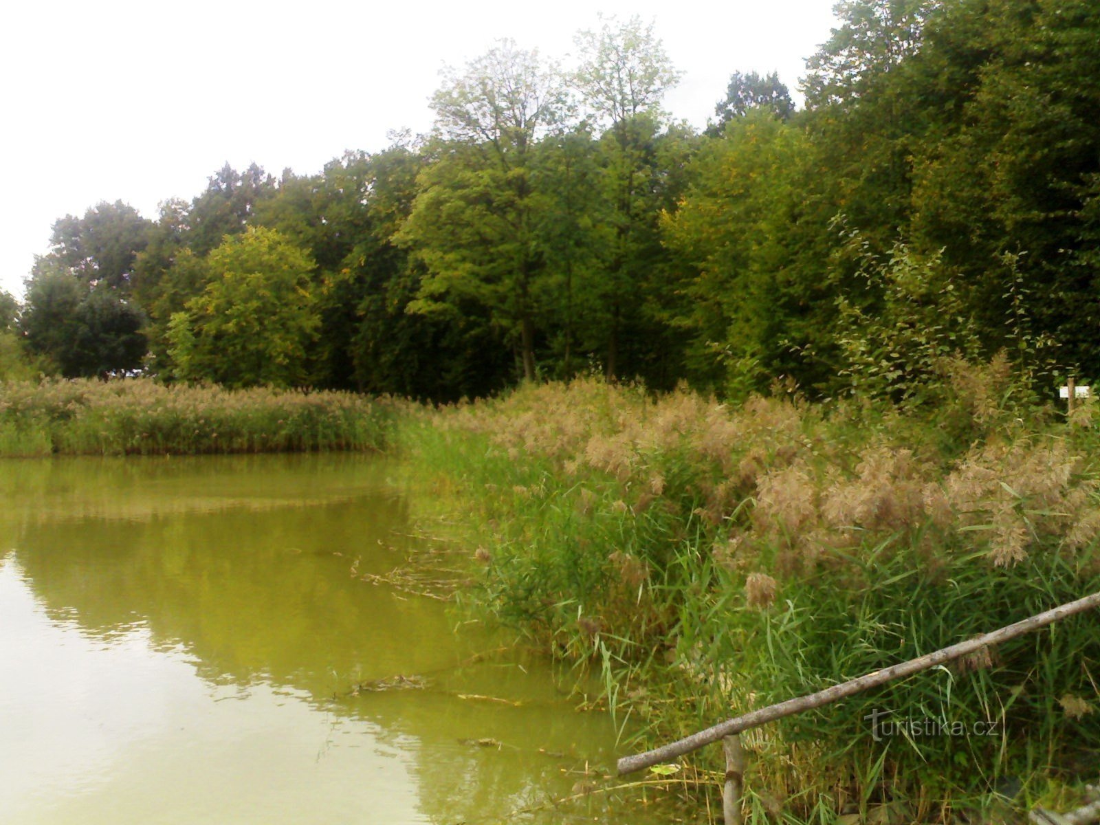 Jama Pond - Purjeessa