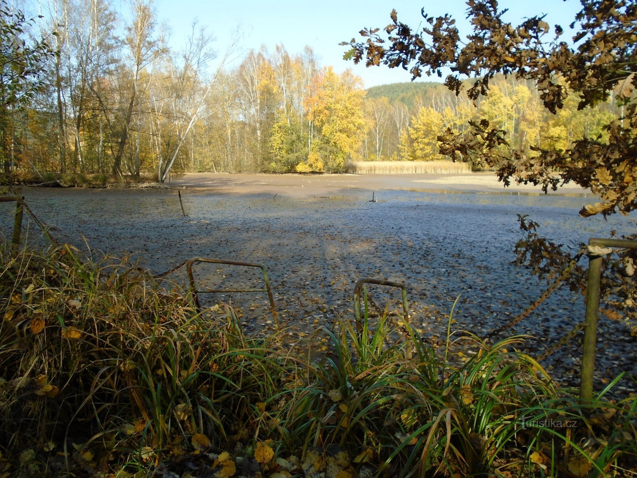 Teich Jindra (Havlovice, 17.10.2017)