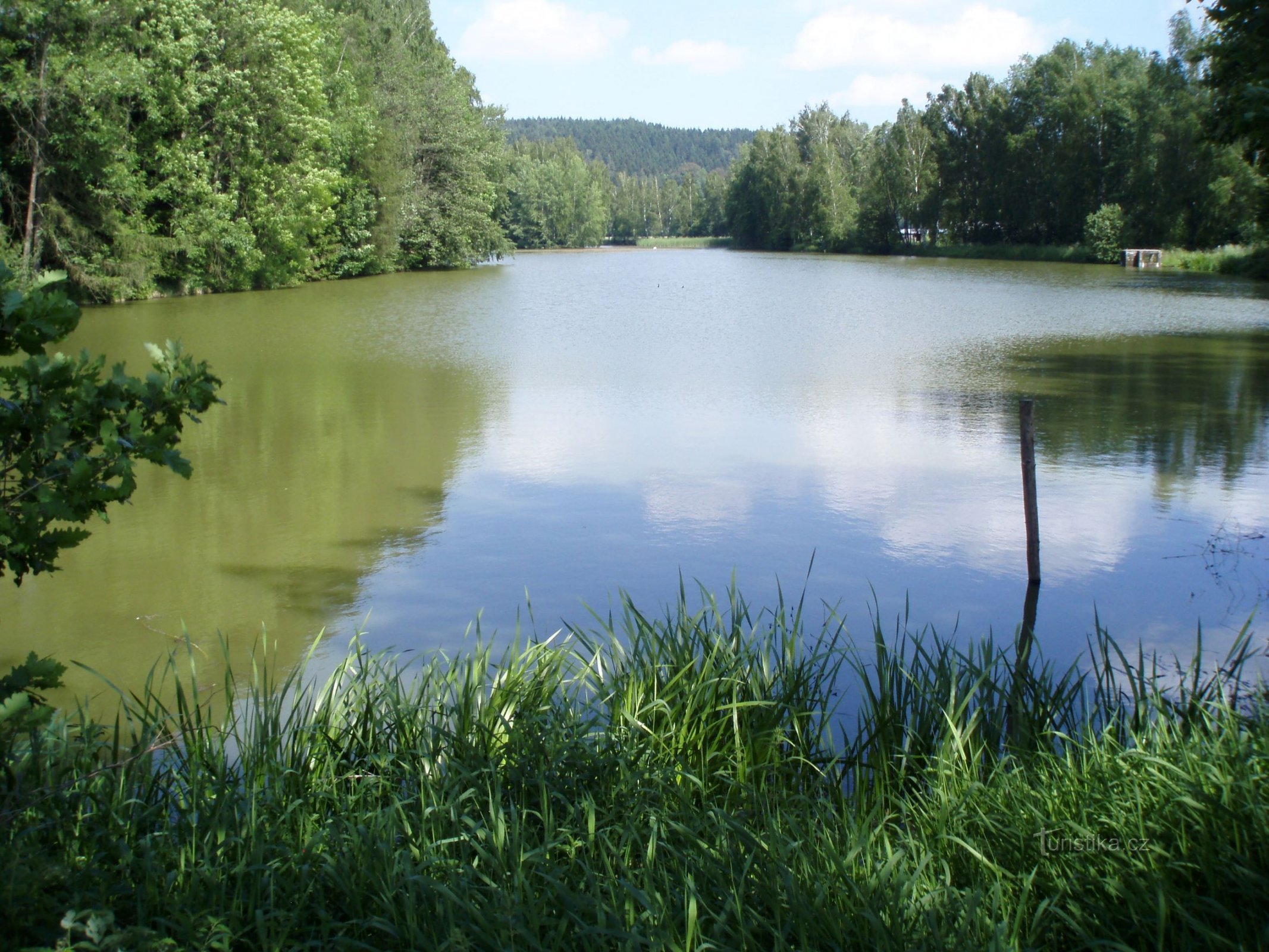 Jindra Pond (Havlovice, 6.6.2011)