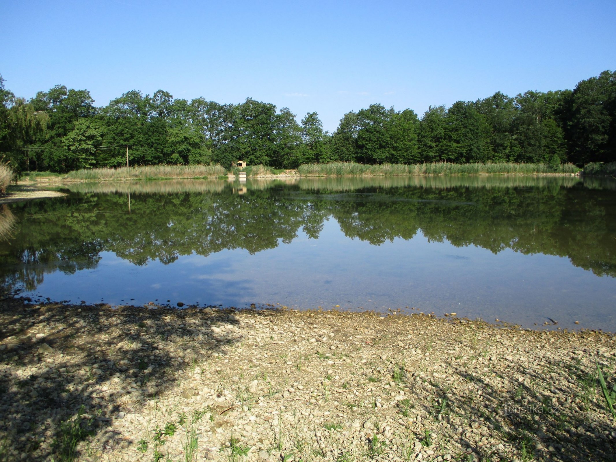 Jordaanvijver (Těchlovice, 14.6.2019/XNUMX/XNUMX)