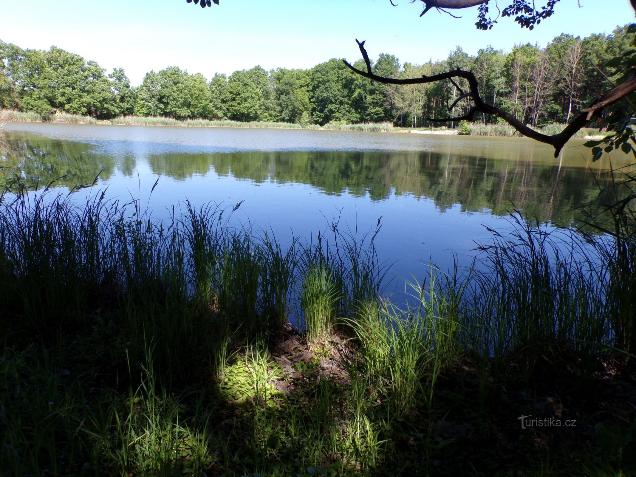 Jordan Pond (Těchlovice, 6.6.2021/XNUMX/XNUMX)