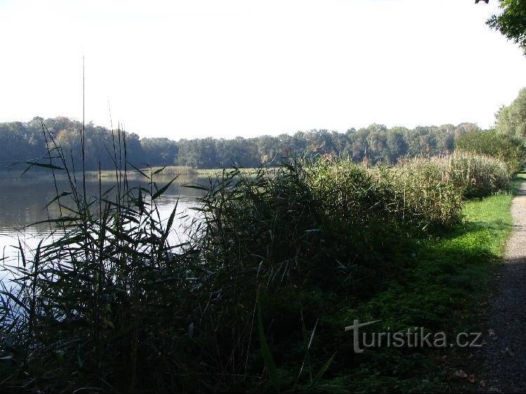 Kačírek pond