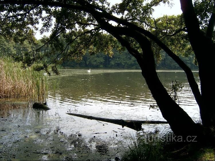 Lagoa Kala: Lagoa Kala - vista do nordeste