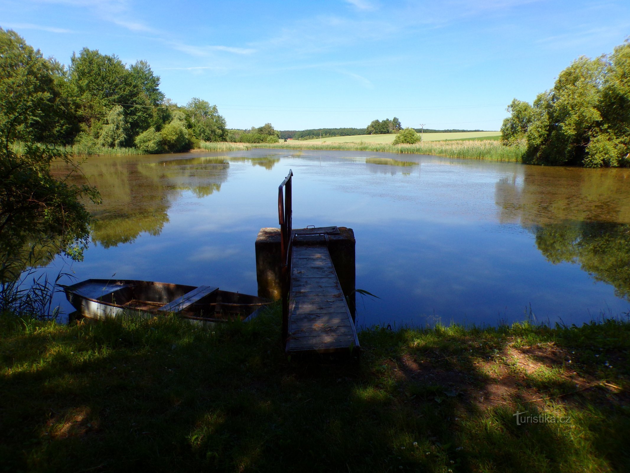 Kamenec pond (Pravy, 15.6.2022/XNUMX/XNUMX)