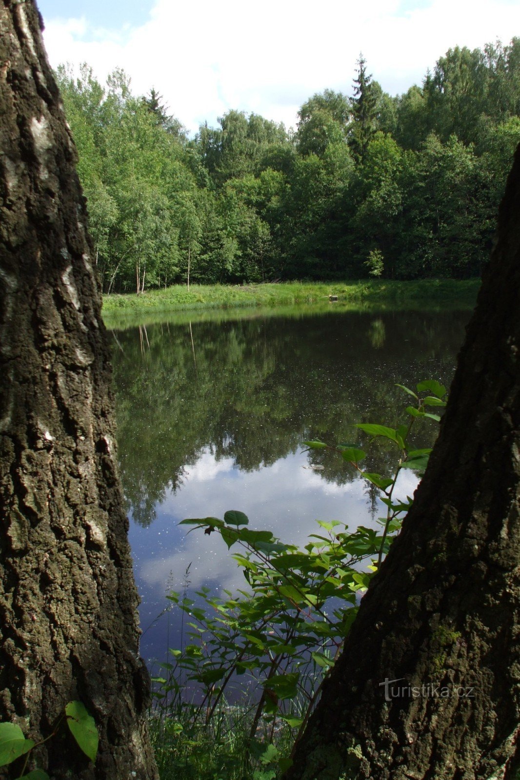 Klabeček pond