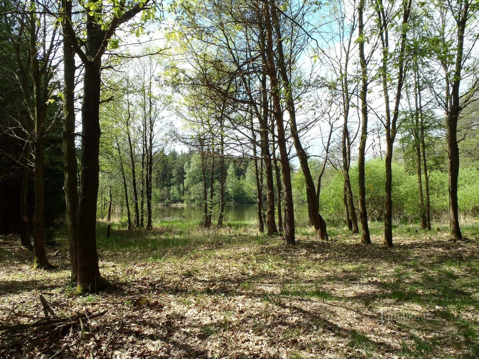 Kolařík-Teich - 6.5.2012. Mai XNUMX